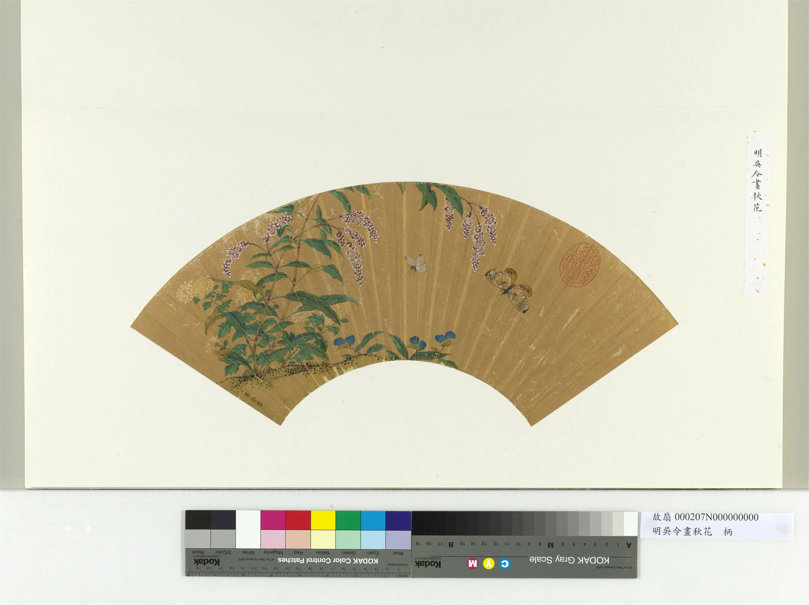 明朝【吴令】《画秋花册页》