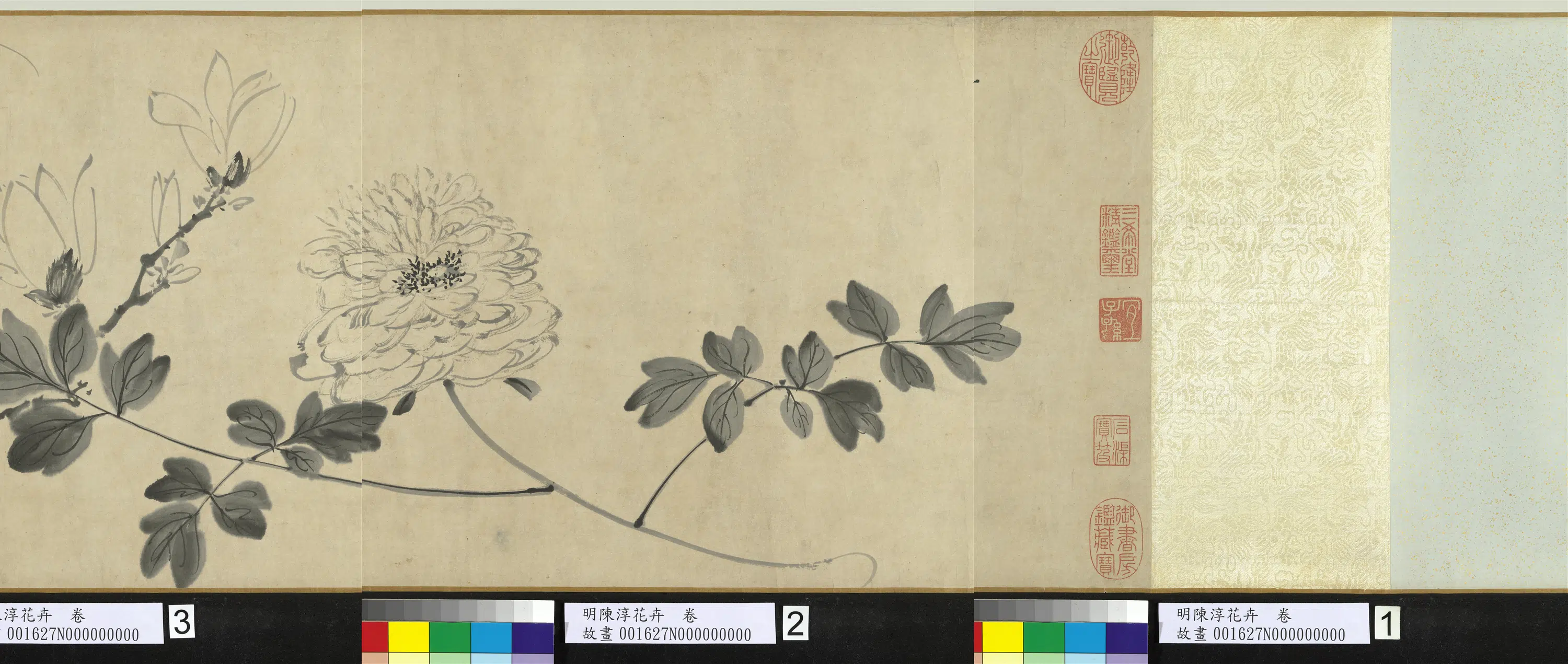 明朝【陈淳(道复)】《花卉图卷》 第9张 明朝【陈淳(道复)】《花卉图卷》 第9张