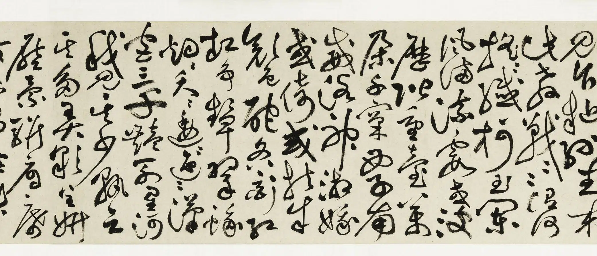 明朝【祝允明】《草书牡丹赋卷》 第9张