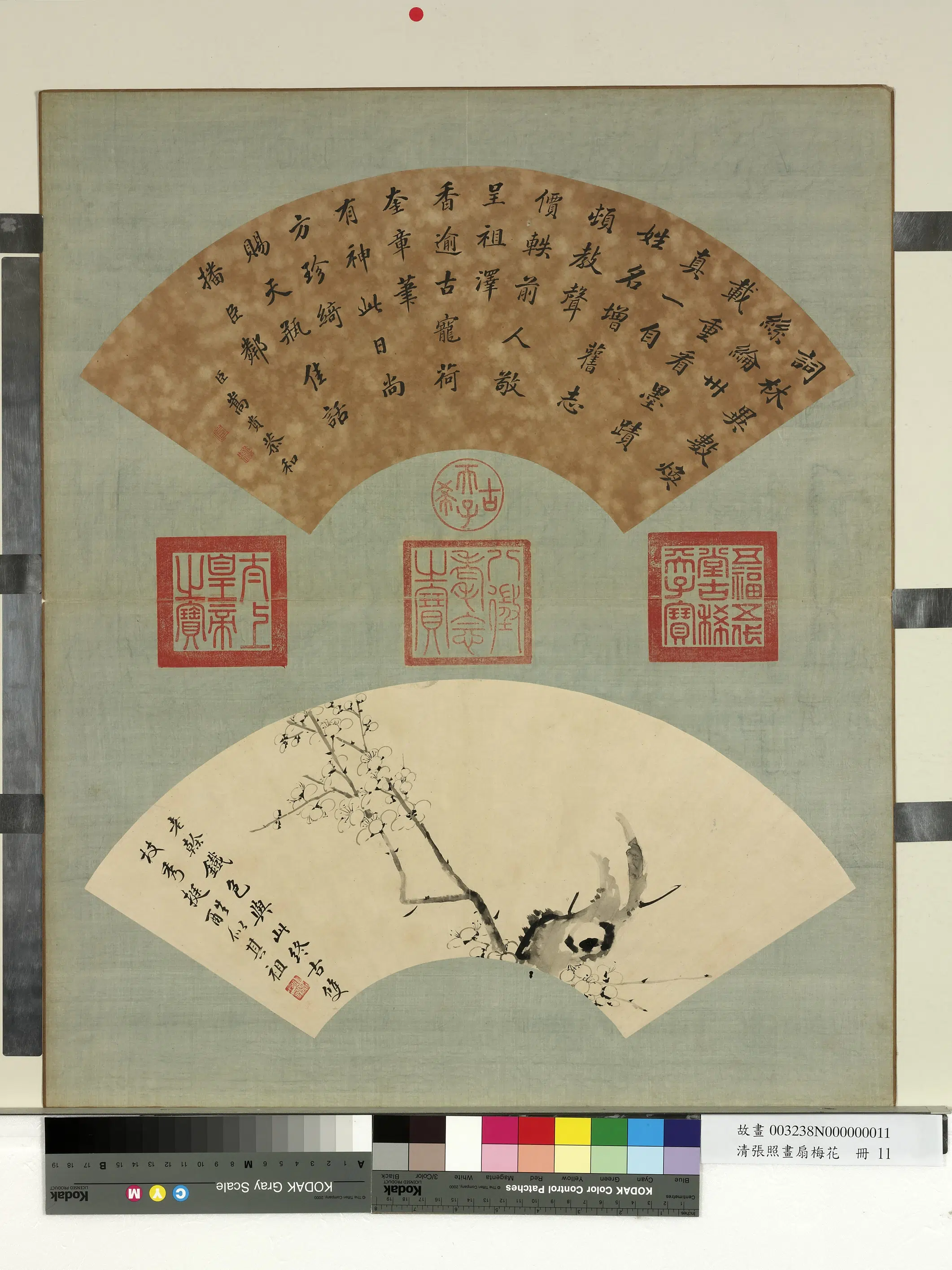 清代【张照】《画扇梅花册-梅花（十一）》