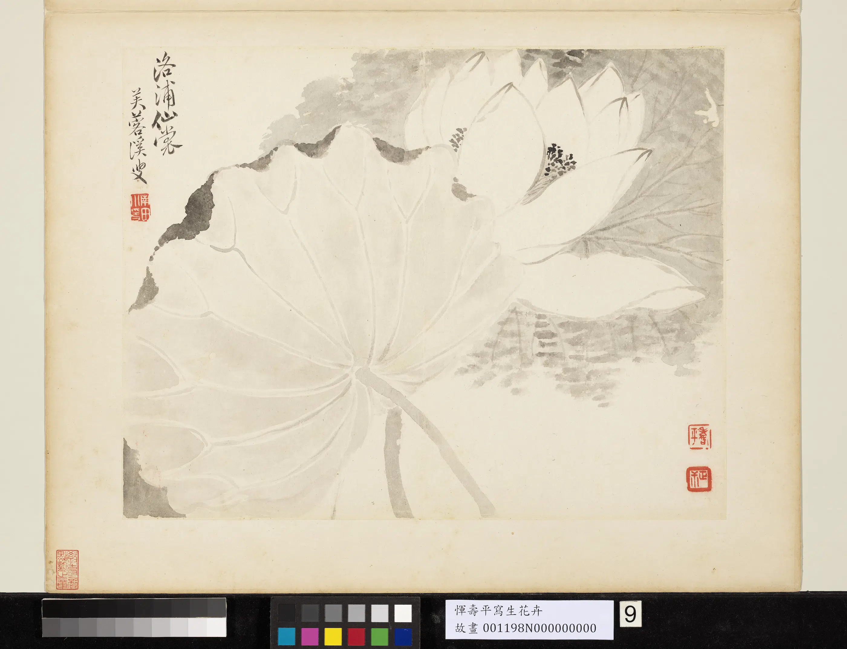 清代【恽寿平】《写生花卉册》 第5张 清代【恽寿平】《写生花卉册》 第5张