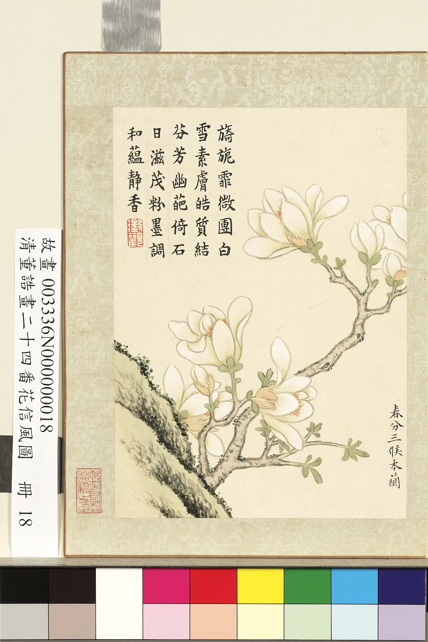 清代【董诰】《画二十四番花信风图册-春分三候木兰》 第1张 清代【董诰】《画二十四番花信风图册-春分三候木兰》 第1张