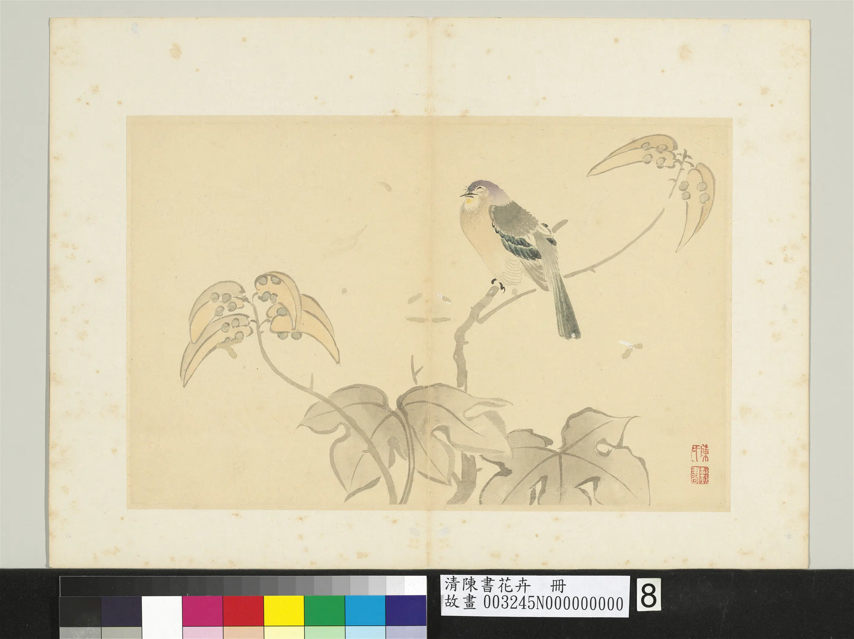 清代【陈书】《花卉册-梧桐翎毛》