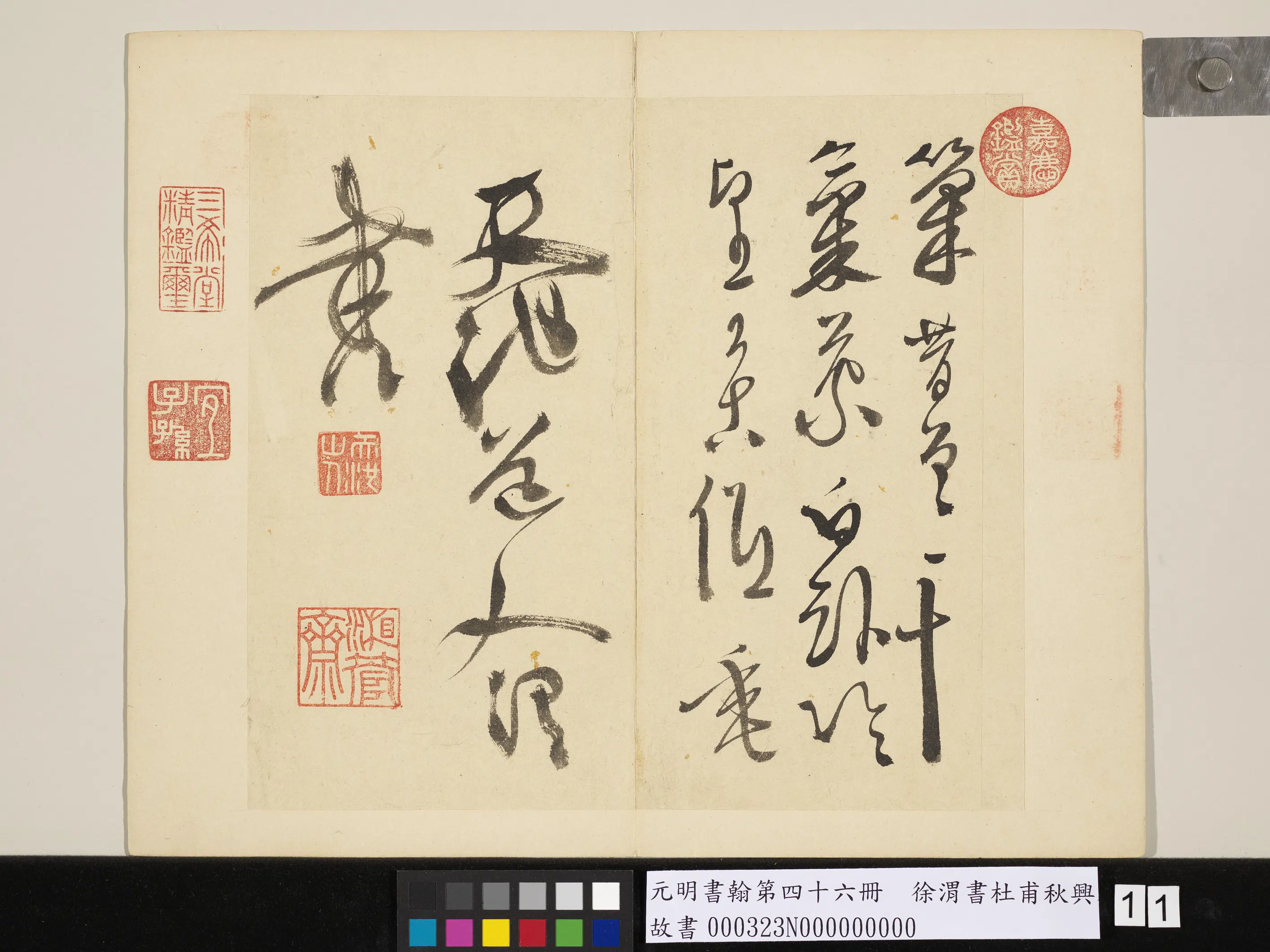 明朝【徐渭】《书杜甫秋兴八首-元明书翰第四十六册》 第3张