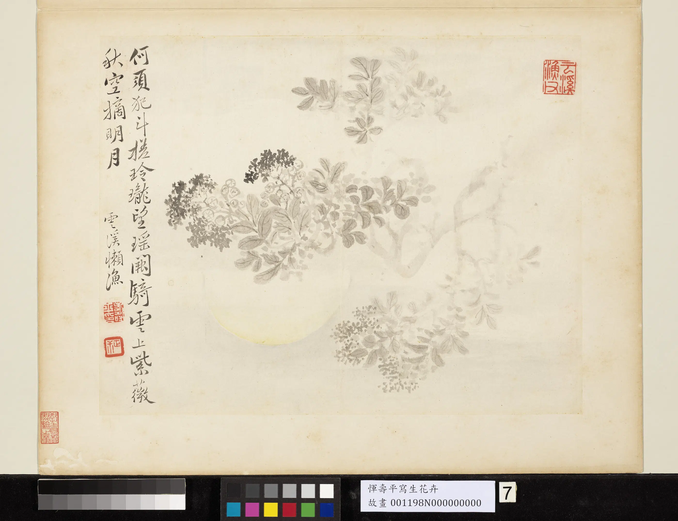 清代【恽寿平】《写生花卉册-秋空摘月》