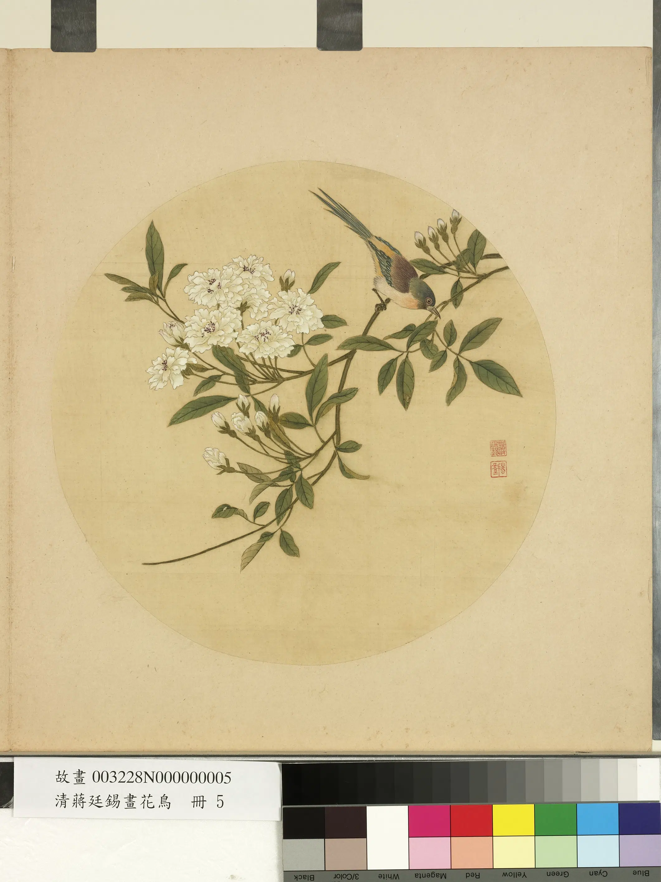 清代【蒋廷锡】《画花鸟册-贴梗海棠》