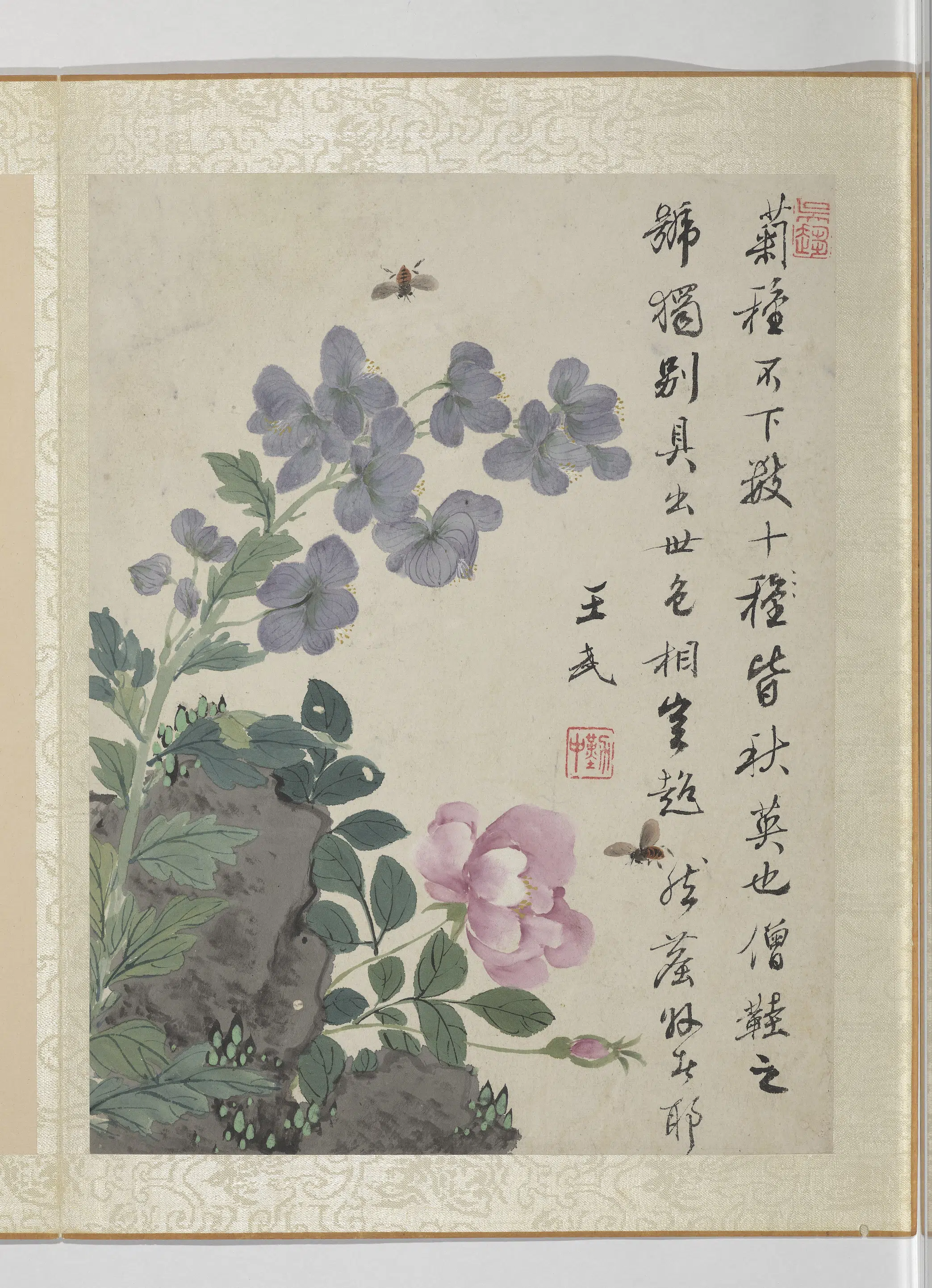 清代【王武】《花卉册-僧鞋菊月季花》