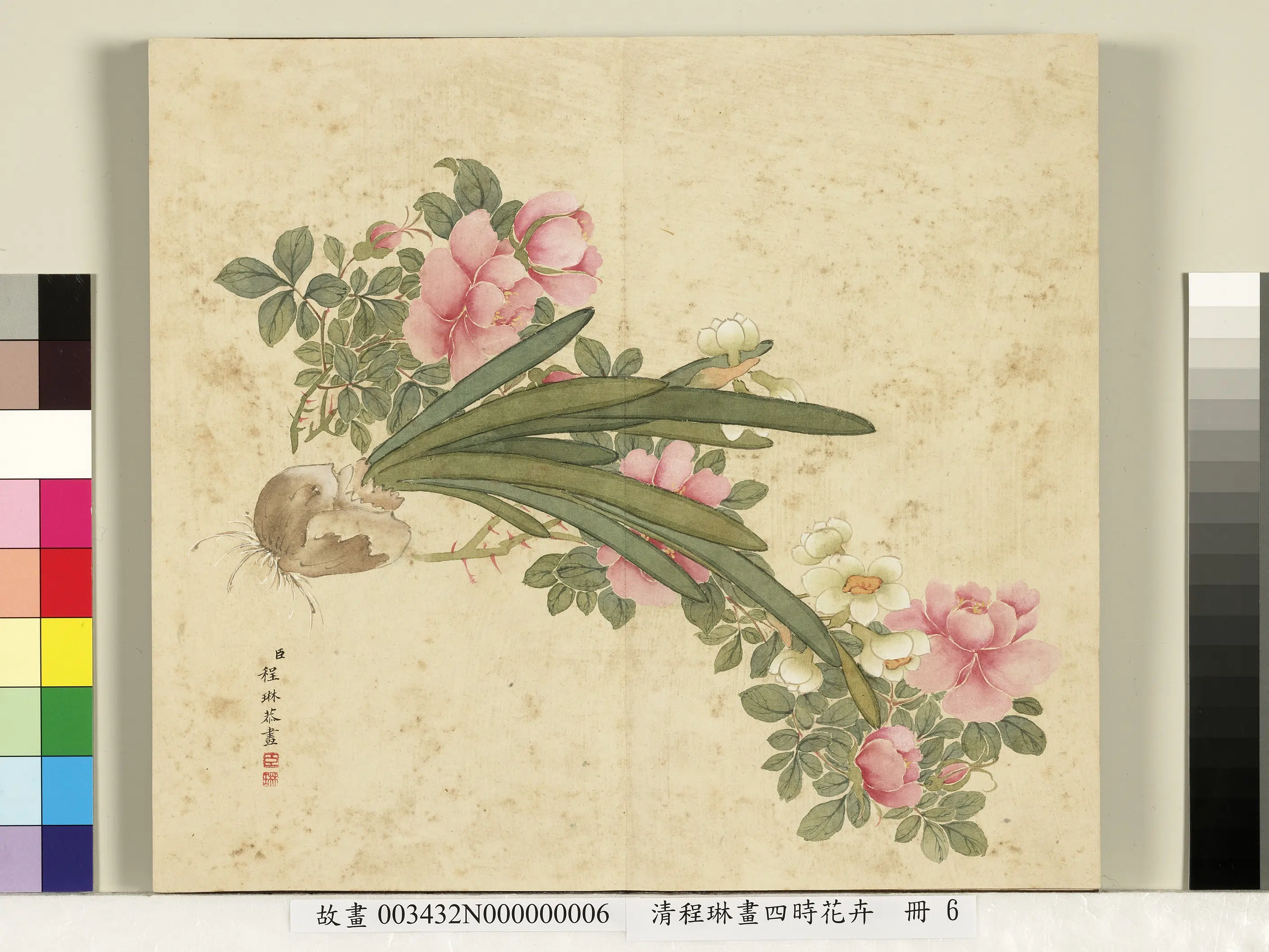 清代【程琳】《画四时花卉册-月季水仙》