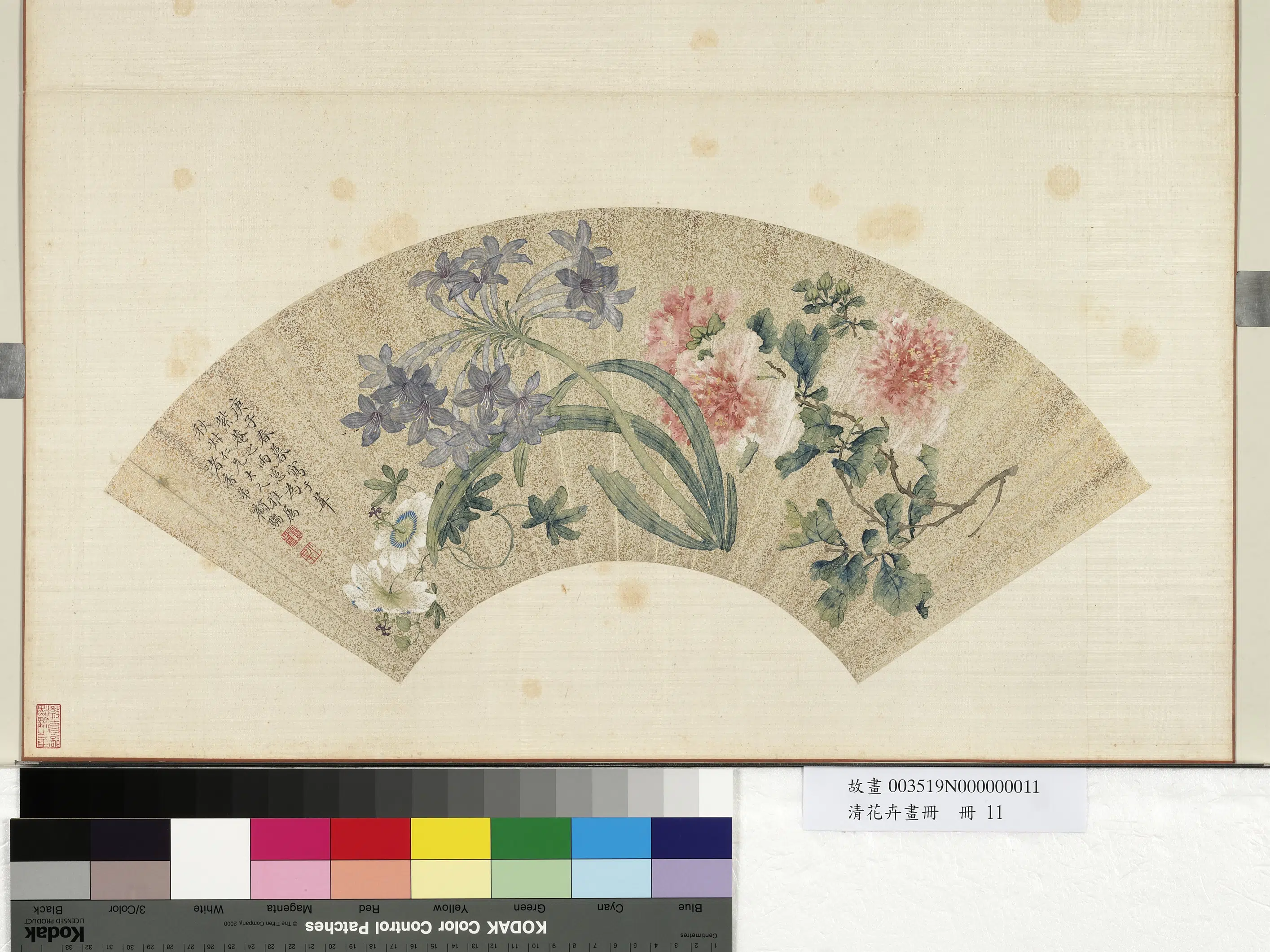 清代【顾驺】《花卉画册-顾驺花卉》 第1张