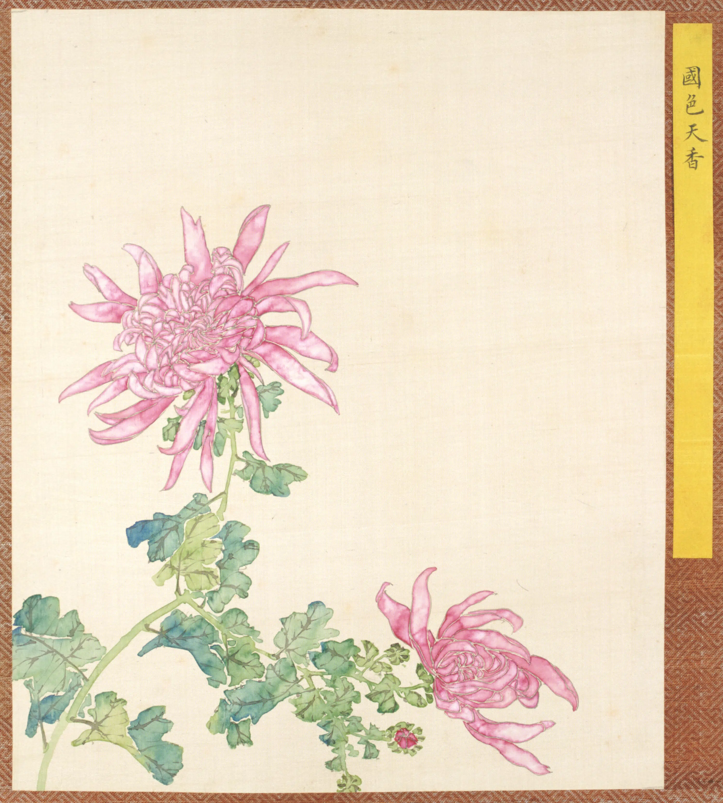 清代【清人】《菊谱册-7》 第1张