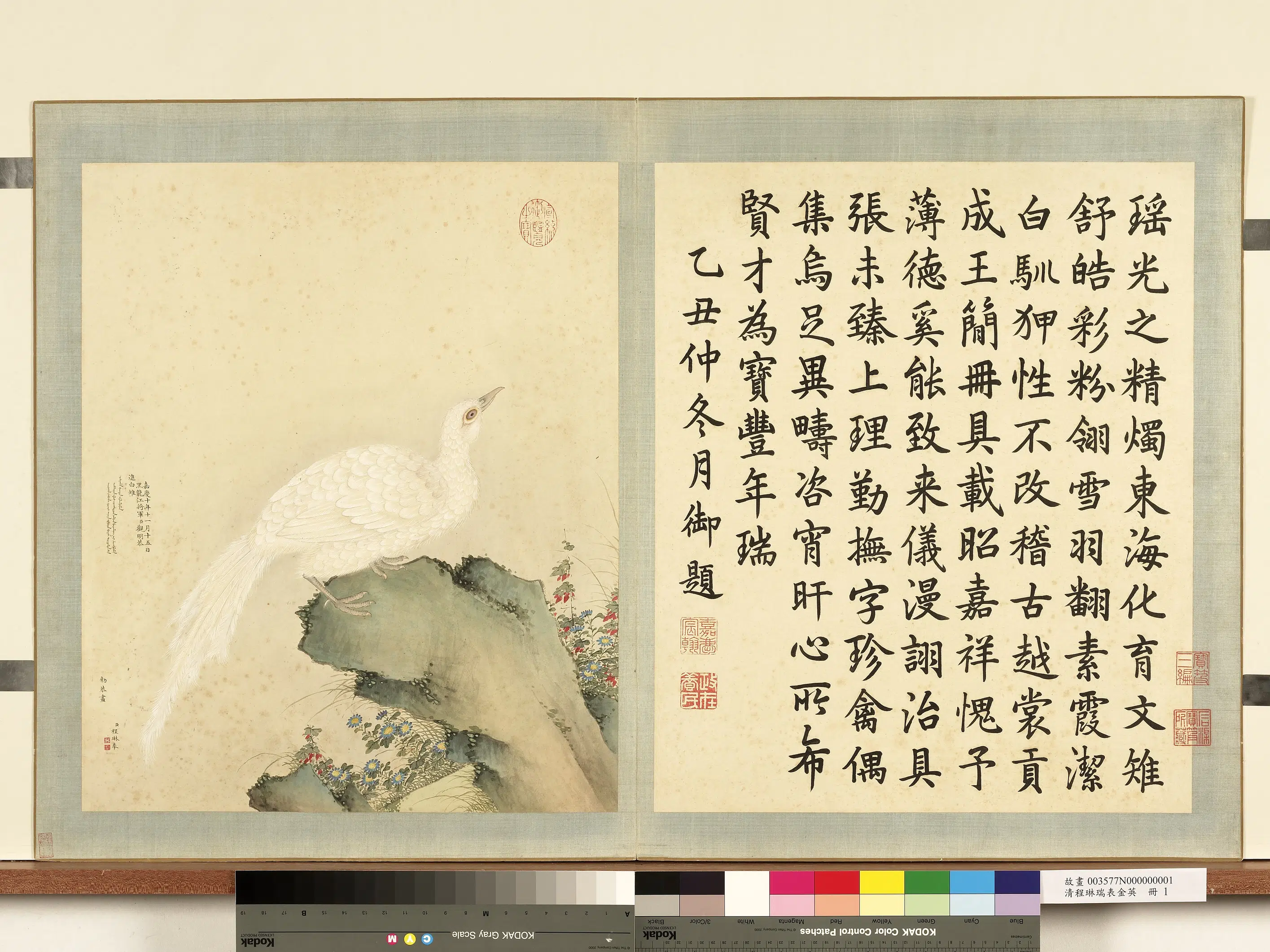 清代【程琳】《瑞表金英册-白雉》