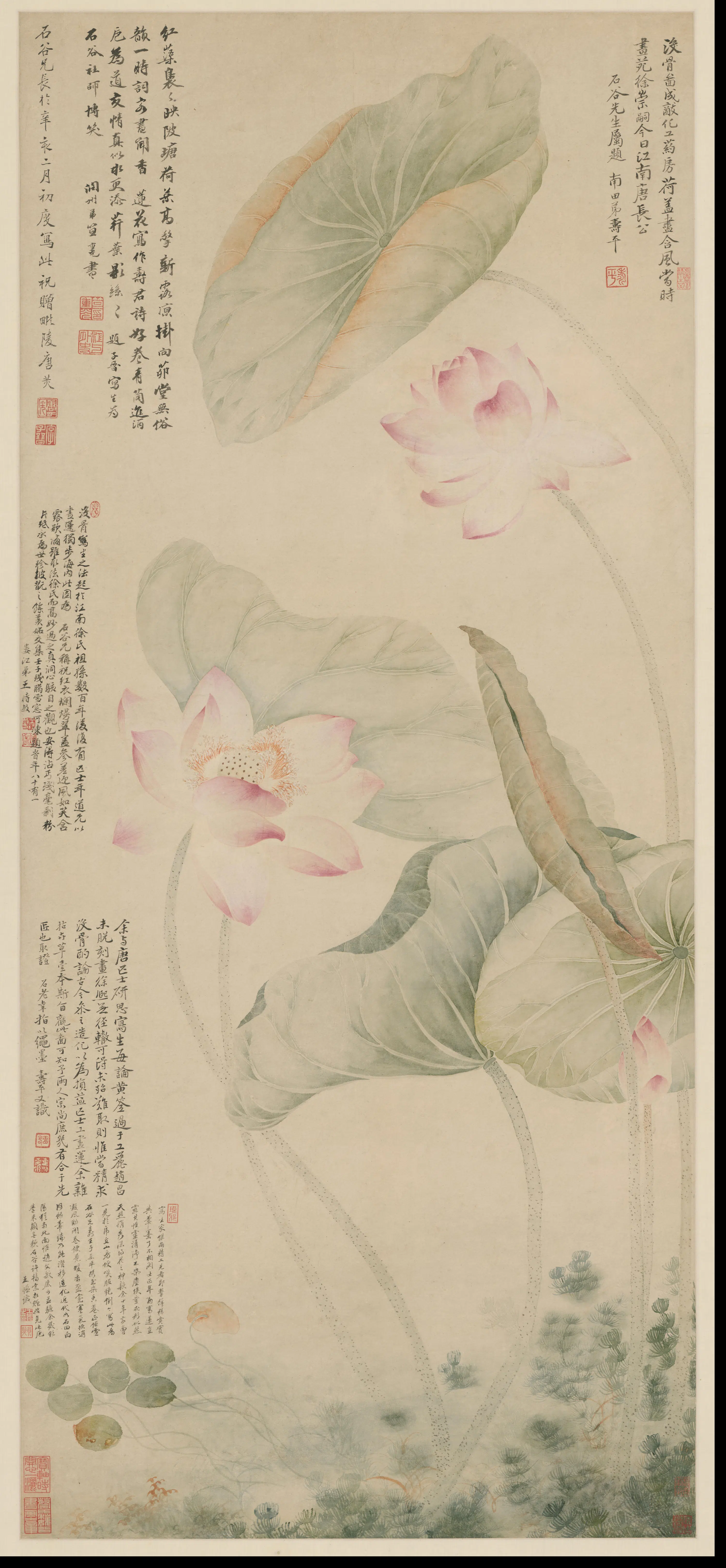 清代【唐炗（苂）】《恽寿平合画红莲绿藻图》