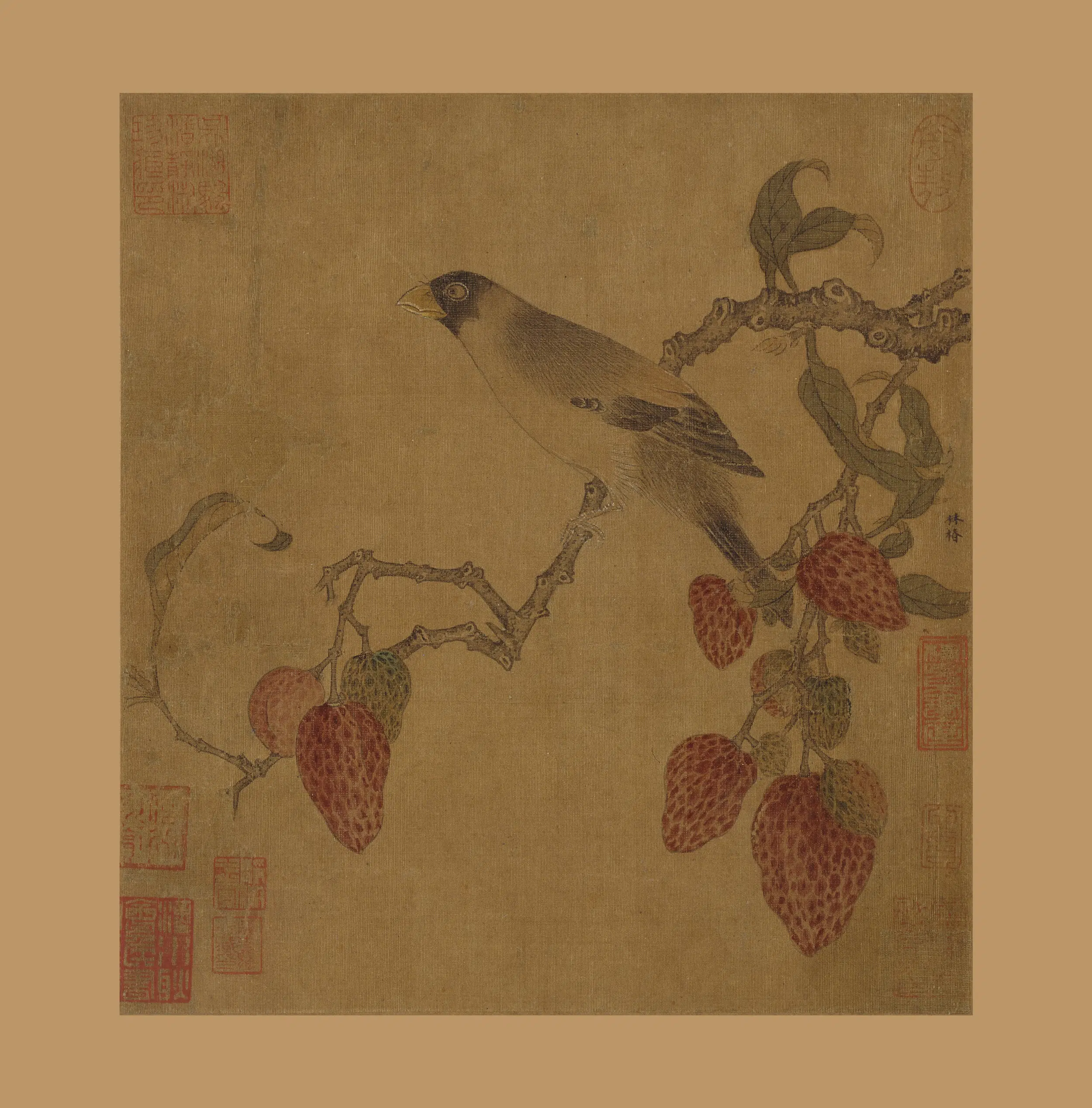 宋代【佚名】《锦荔栖禽图页》