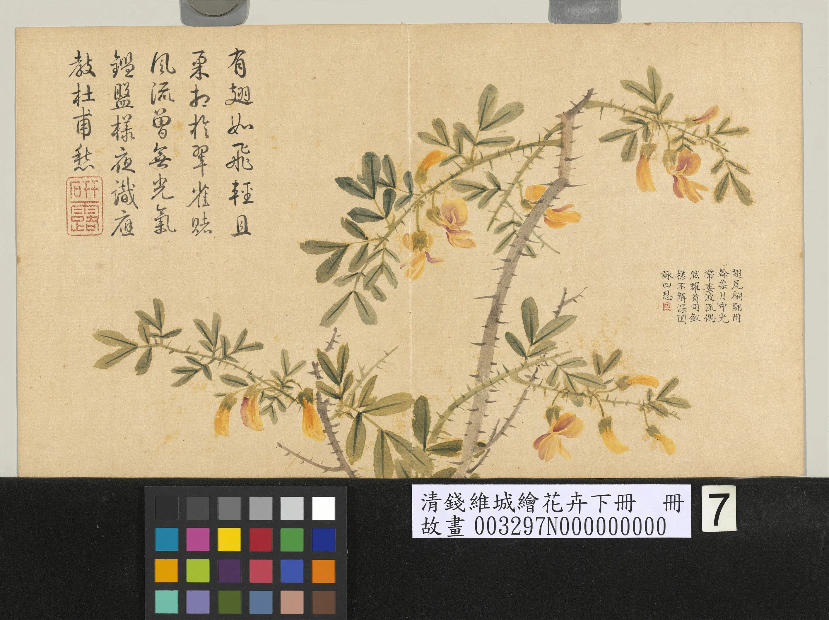 清代【钱维城】《绘花卉(下)册》 第12张 清代【钱维城】《绘花卉(下)册》 第12张