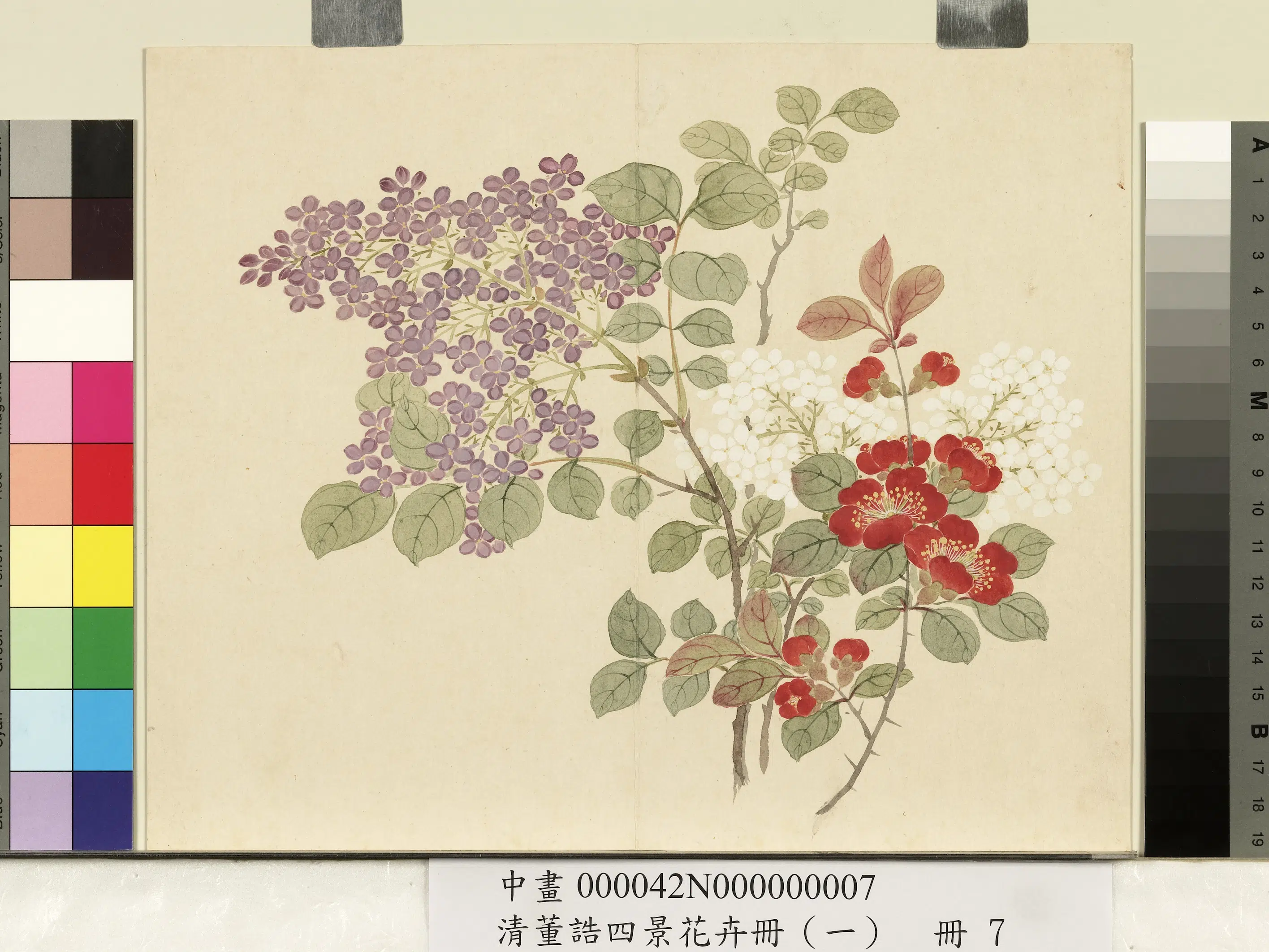清代【董诰】《四景花卉（一）册》 第2张