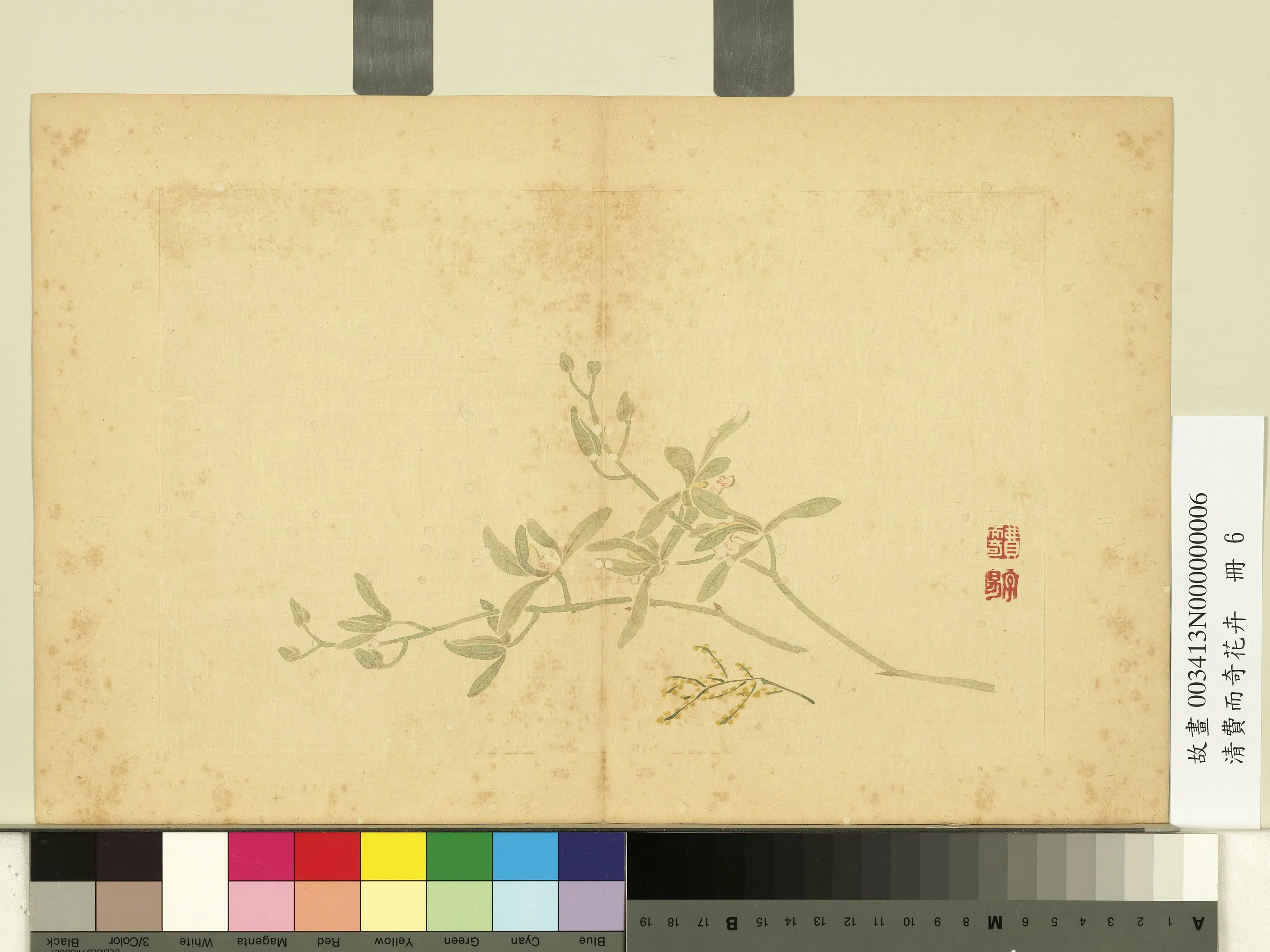 清代【费而奇】《花卉册》 第6张