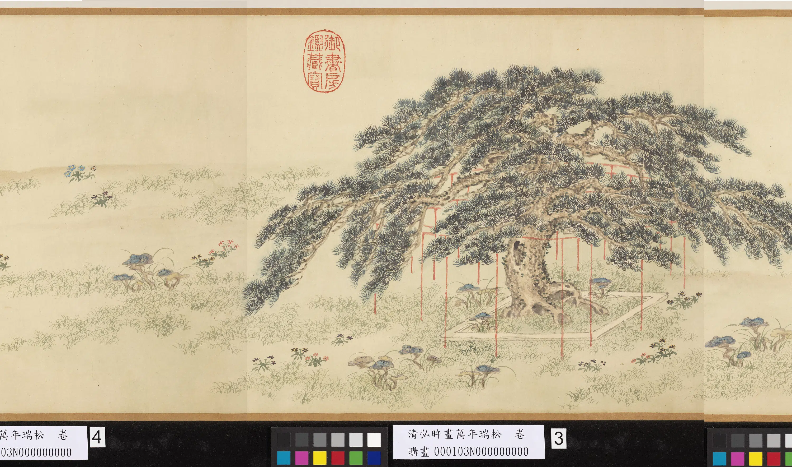 清代【爱新觉罗弘旿】《画万年瑞松图卷》 第2张 清代【爱新觉罗弘旿】《画万年瑞松图卷》 第2张