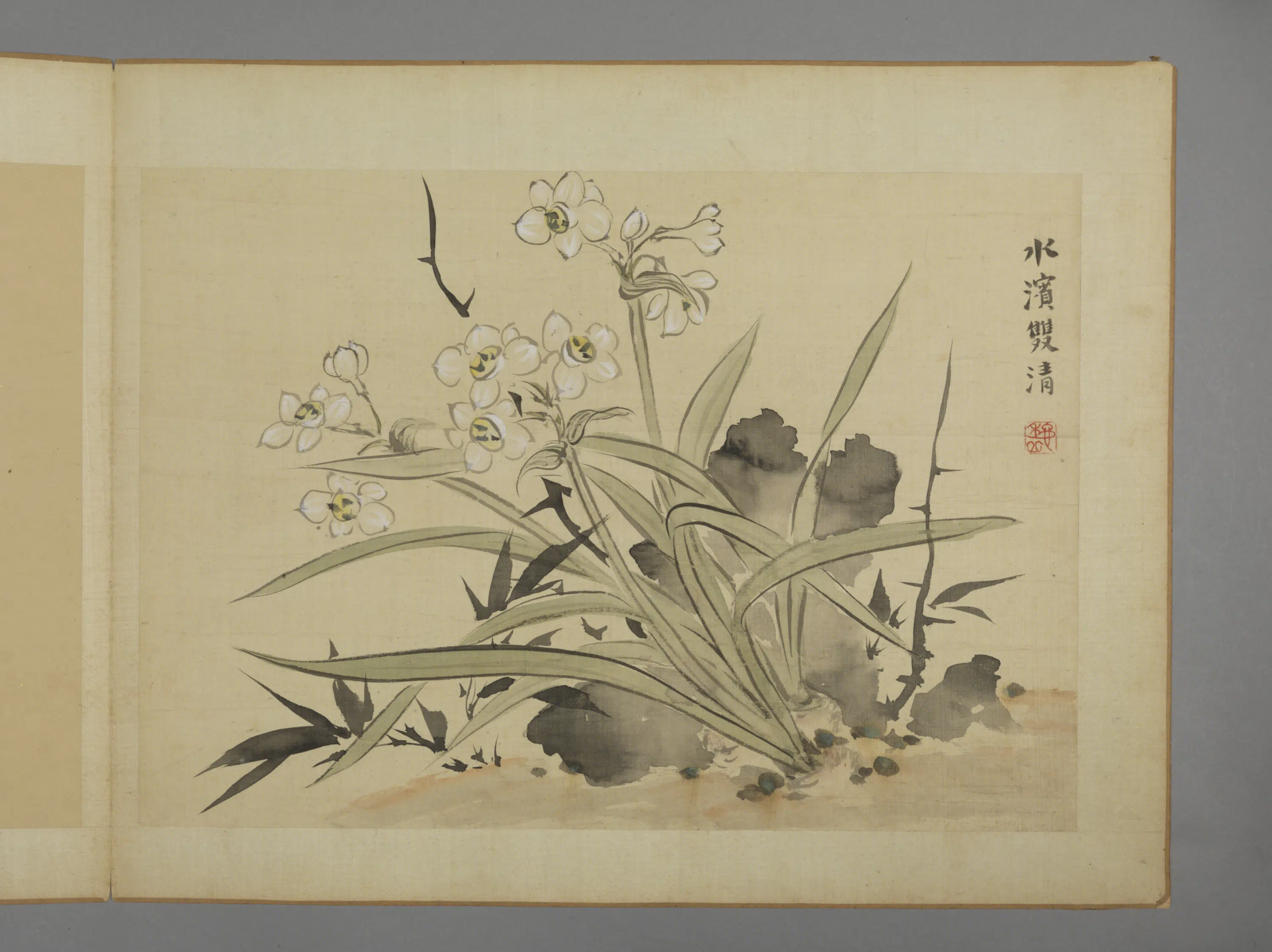 清代【华喦】《花卉图册（11开）》 第8张