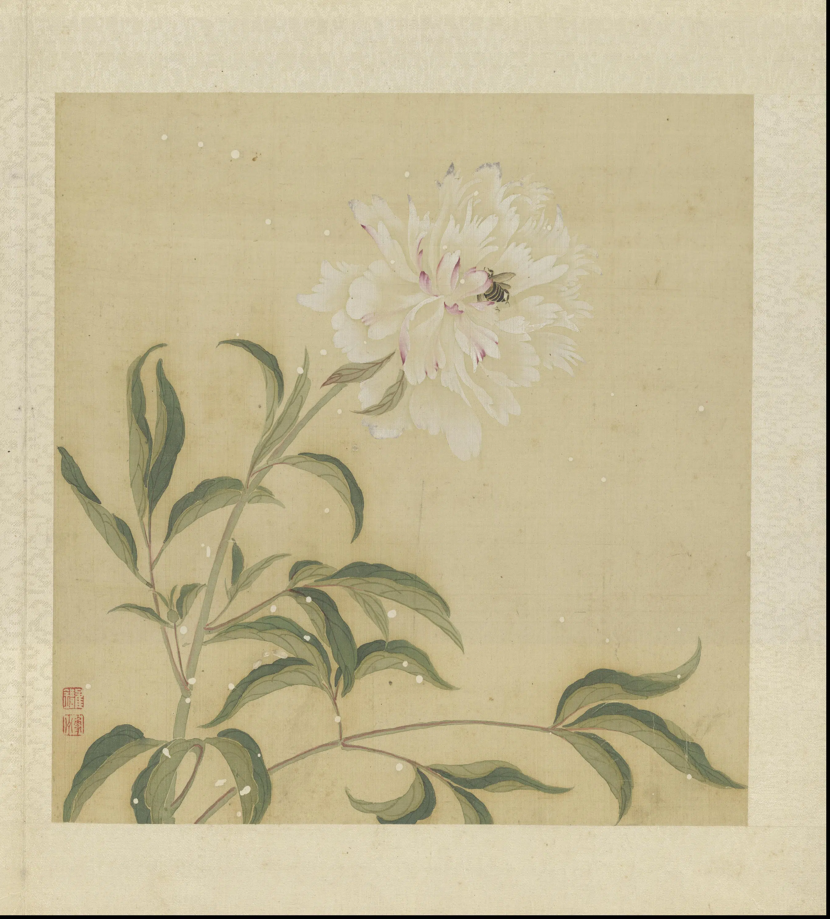 清代【崔鏏】《花卉草虫图册》 第7张