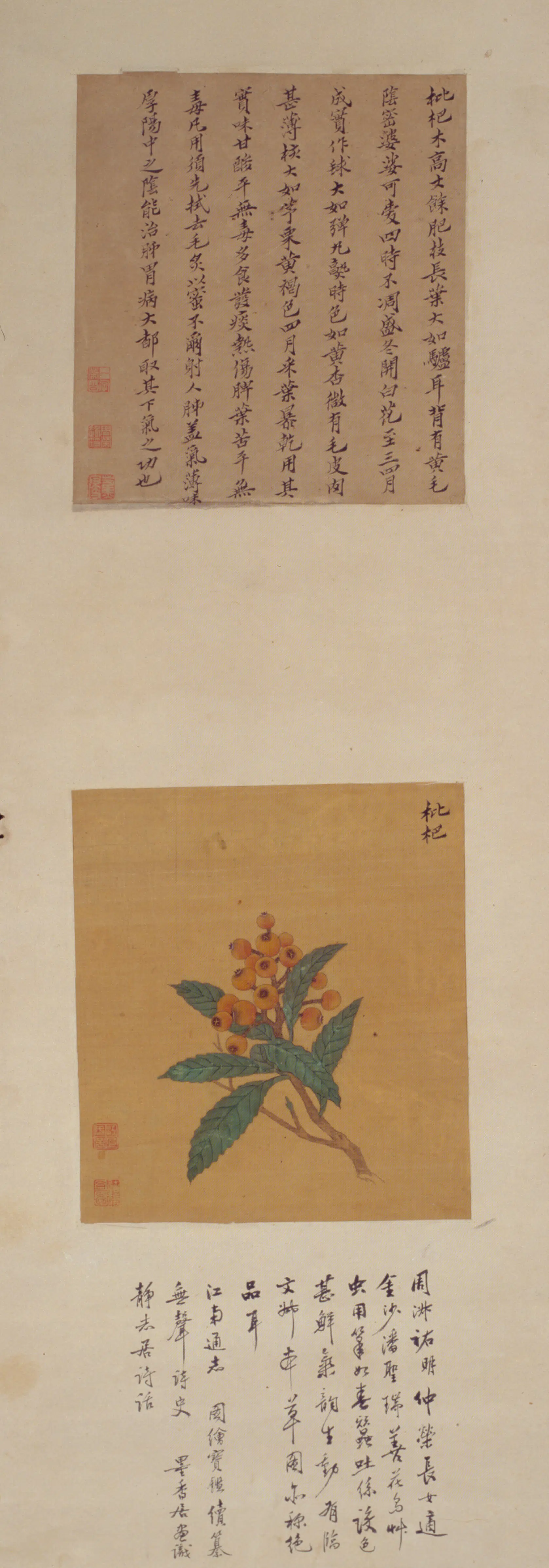 清代【周淑祜】《周淑禧合画花果图屏-3》 第1张