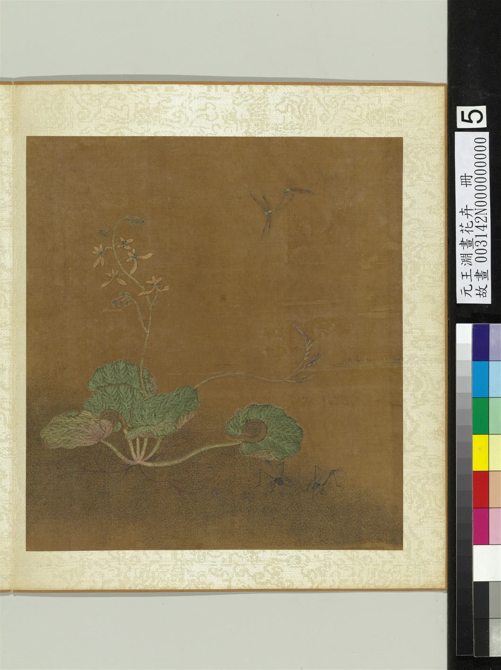 元朝【王渊】《画花卉册2版（12开）》 第10张