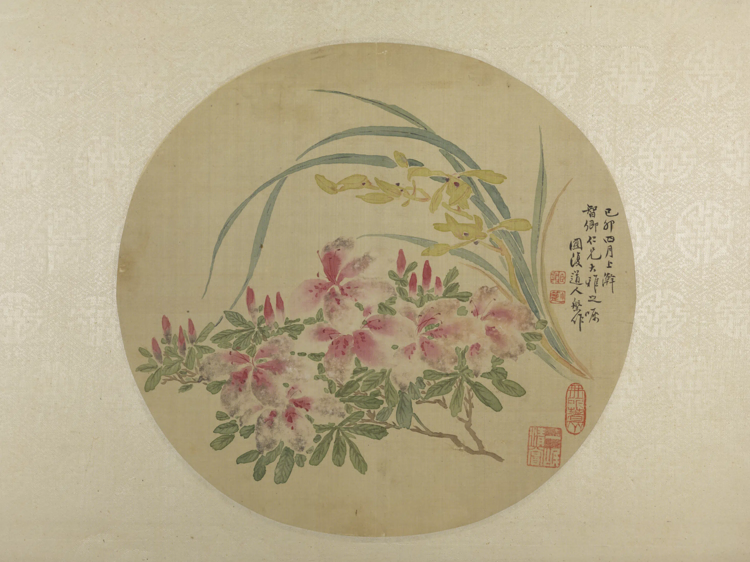 清代【张槃】《月季兰花纨扇页》 第1张