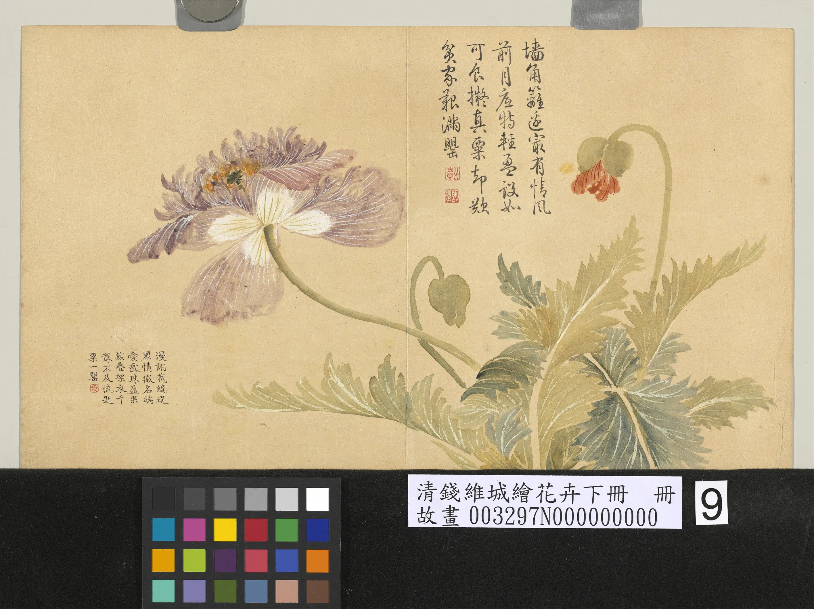 清代【钱维城】《绘花卉（下）册-罂粟》
