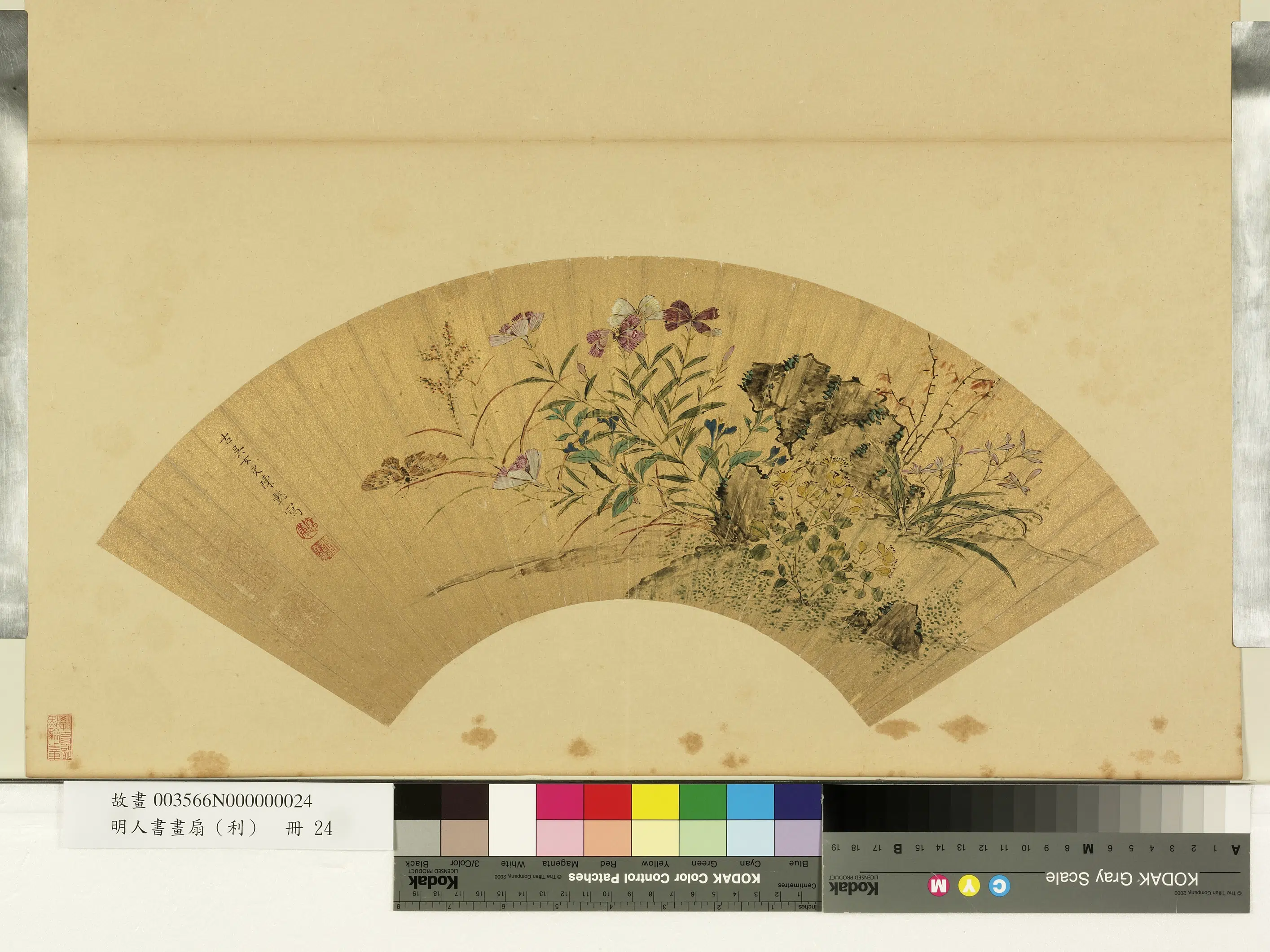 明朝【陈德懿（陈懿）】《明人画扇（利）册-秋花蛱蝶》