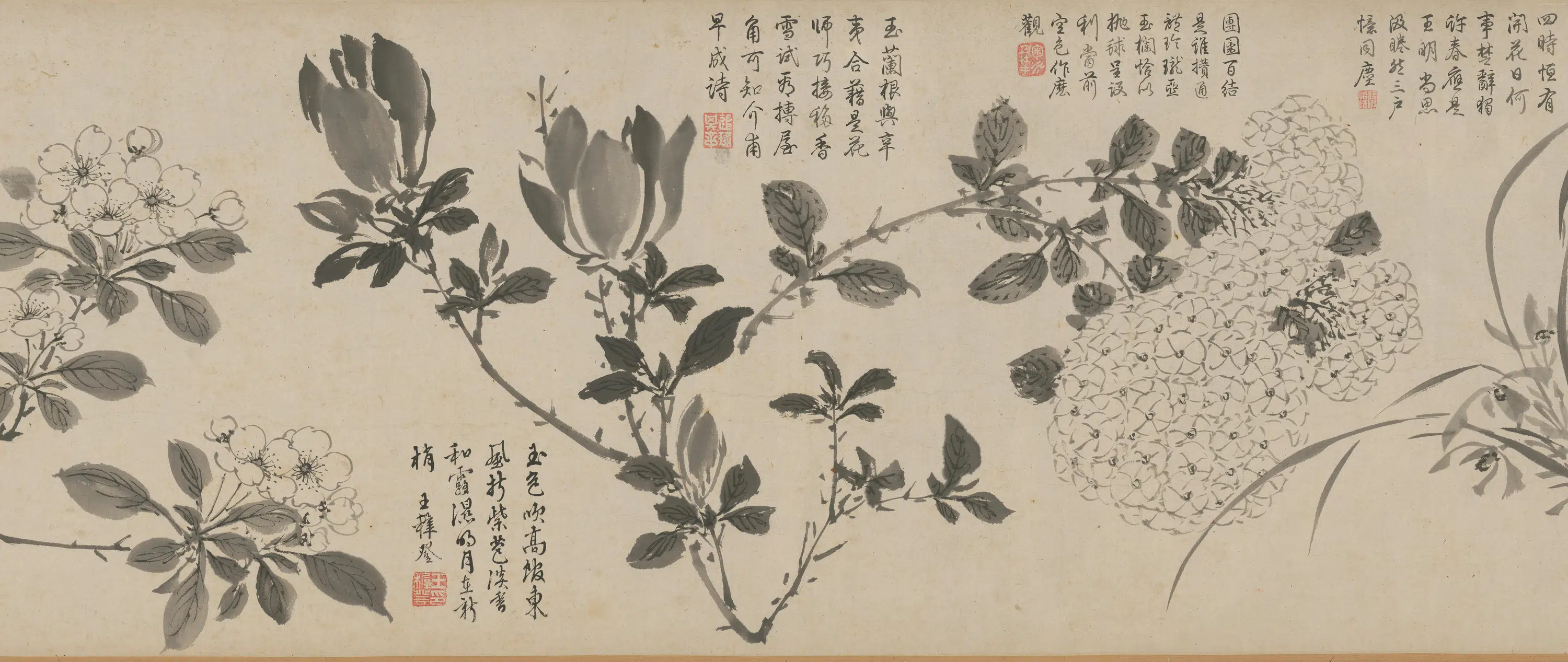 明朝【周之冕】《百花图卷》 第24张 明朝【周之冕】《百花图卷》 第24张