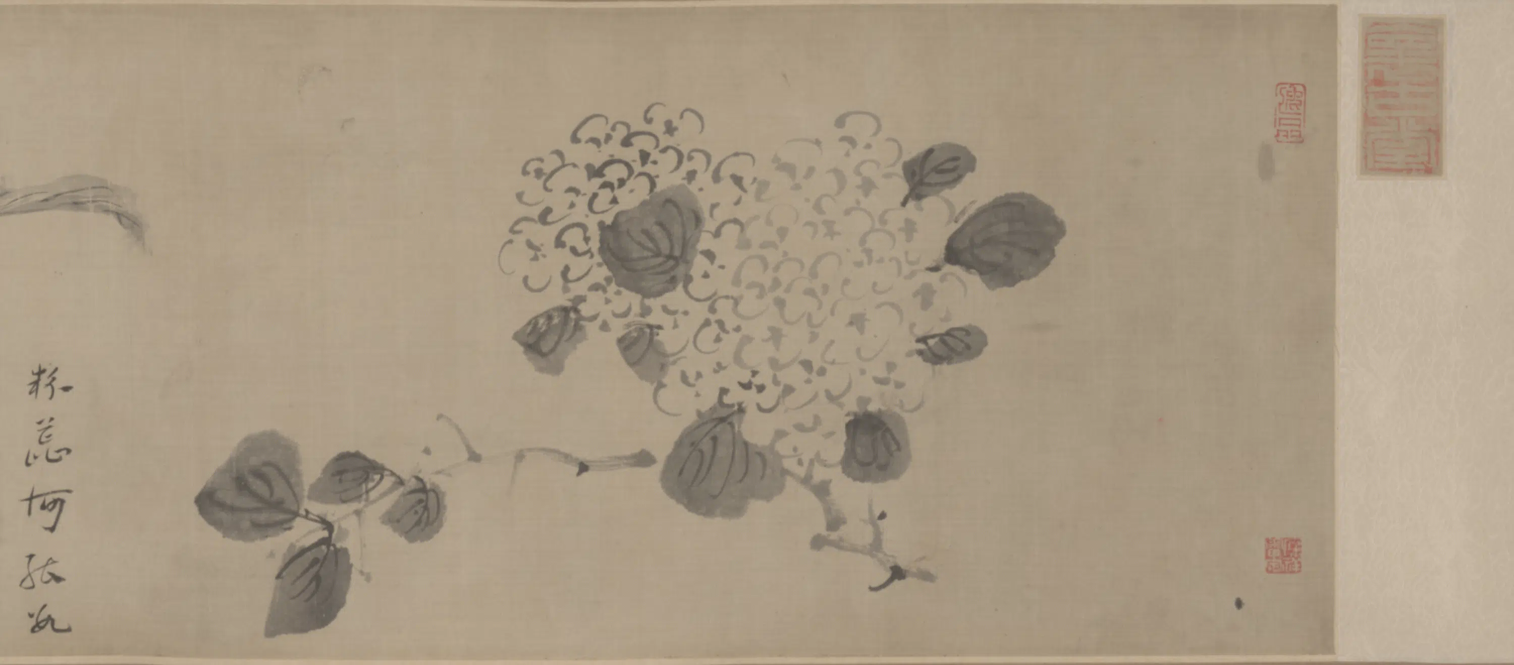清代【朱耷】《花卉图卷》 第5张