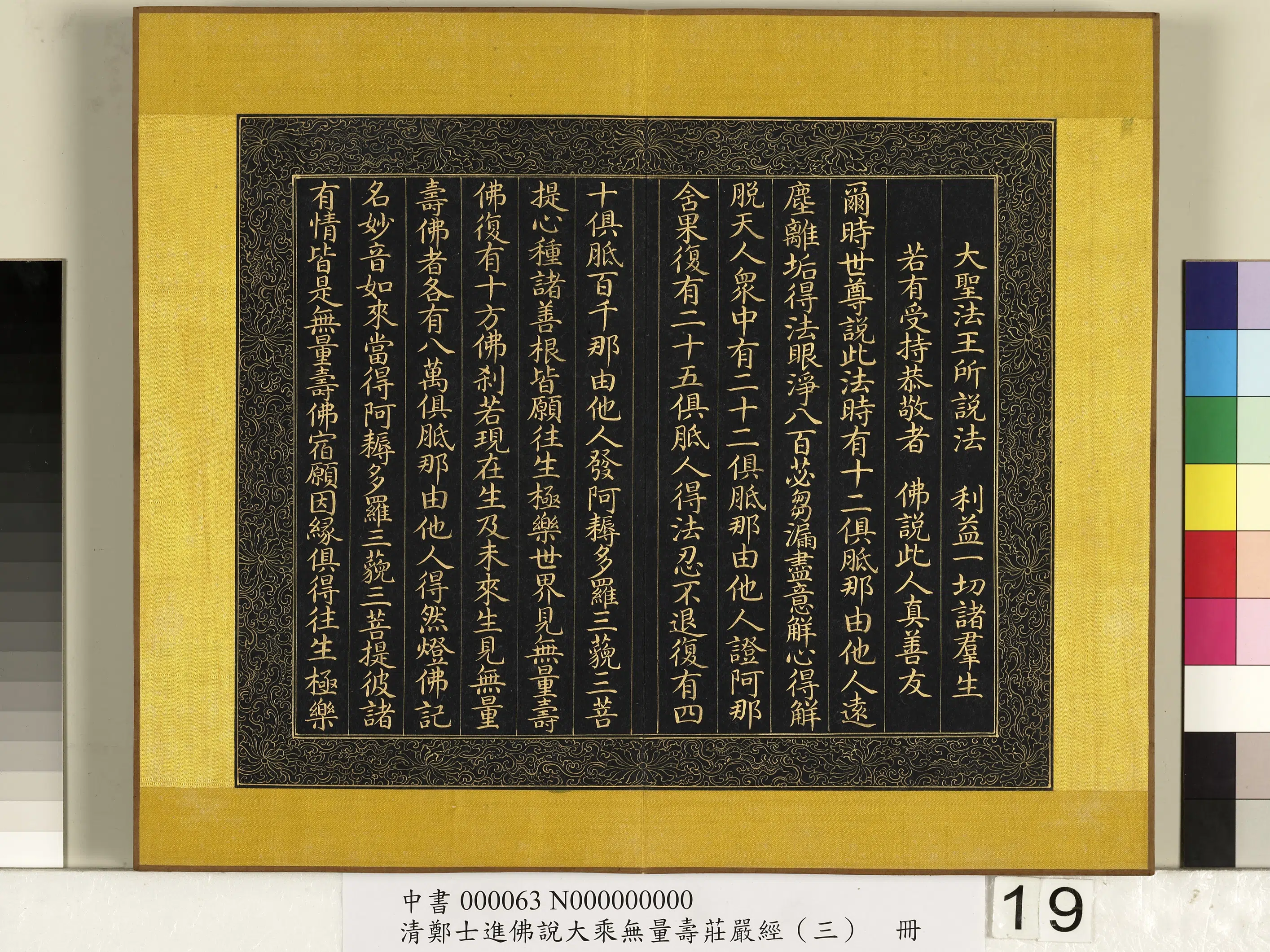 清代【郑大进】《佛说无量寿庄严经(三)册》 第11张 清代【郑大进】《佛说无量寿庄严经(三)册》 第11张