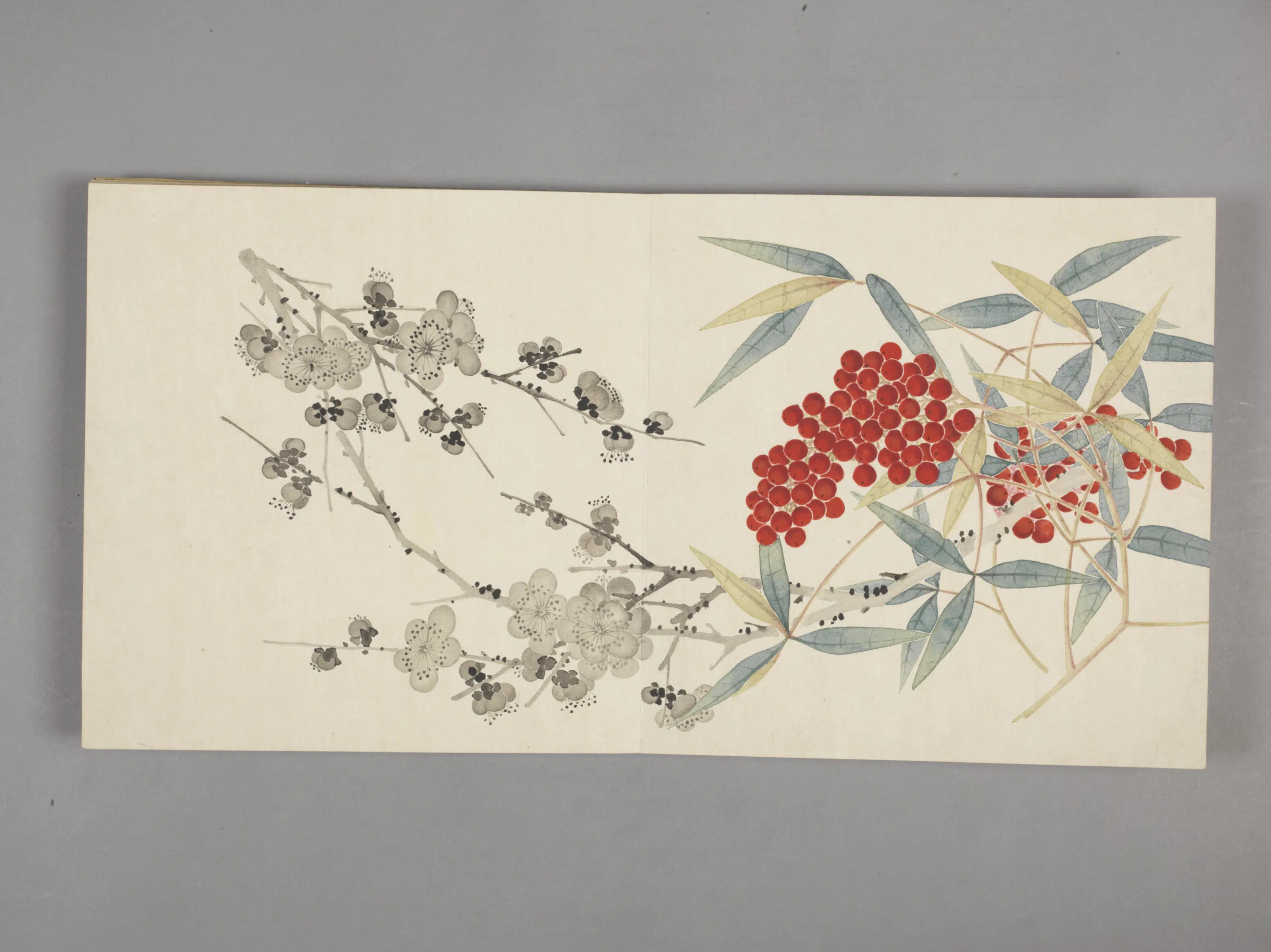 清代【董诰】《花卉小册(11开)》 第6张 清代【董诰】《花卉小册(11开)》 第6张