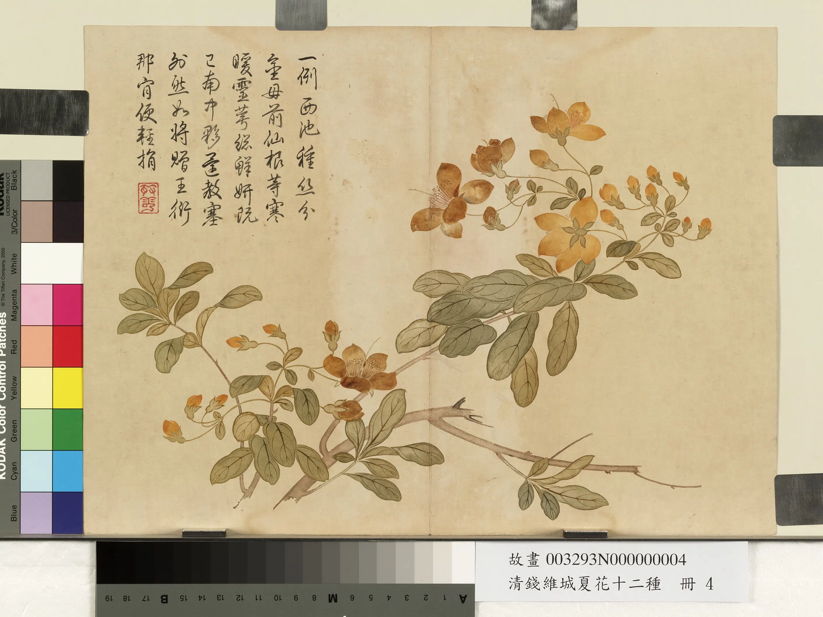 清代【钱维城】《夏华十二种册》 第11张 清代【钱维城】《夏华十二种册》 第11张