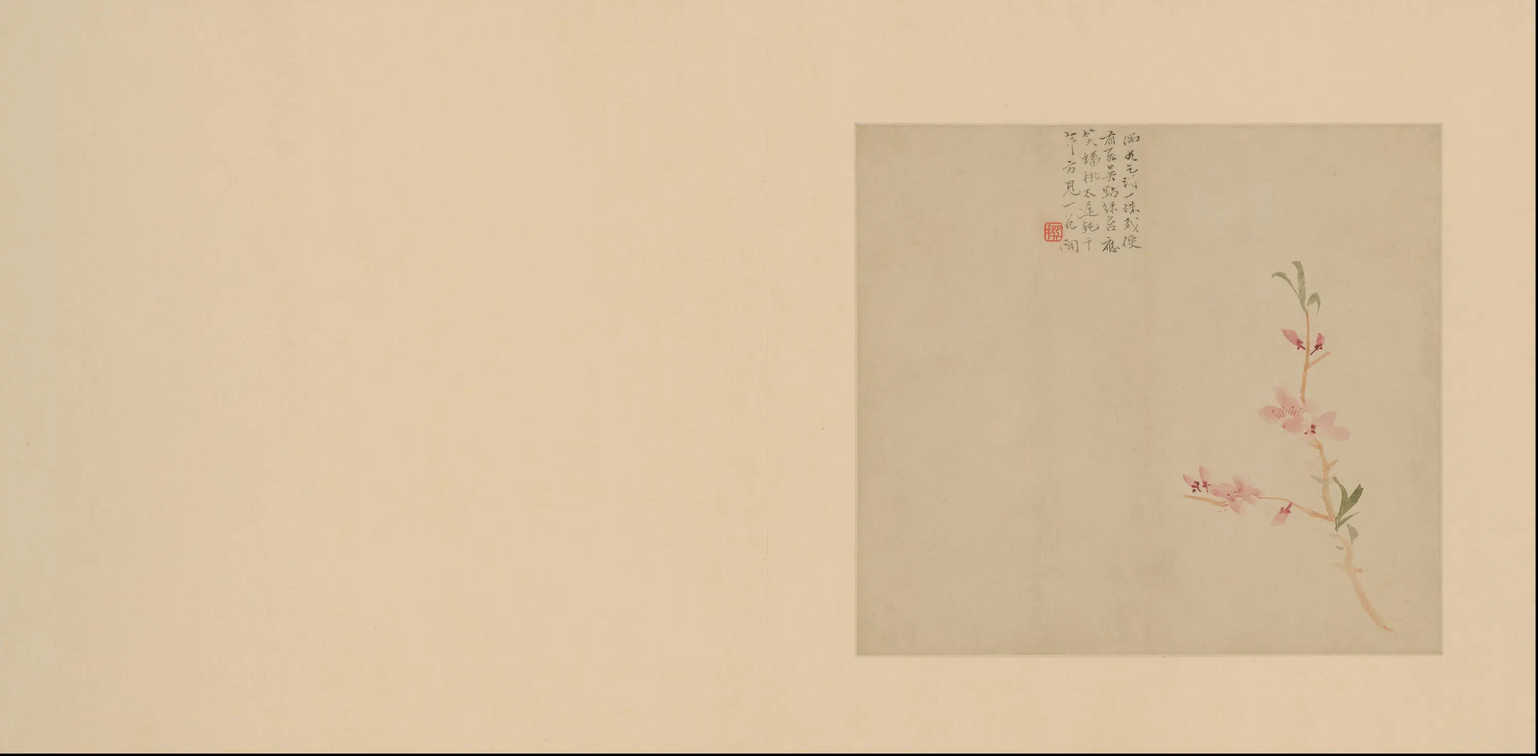 清代【陈撰】《花卉册》 第9张