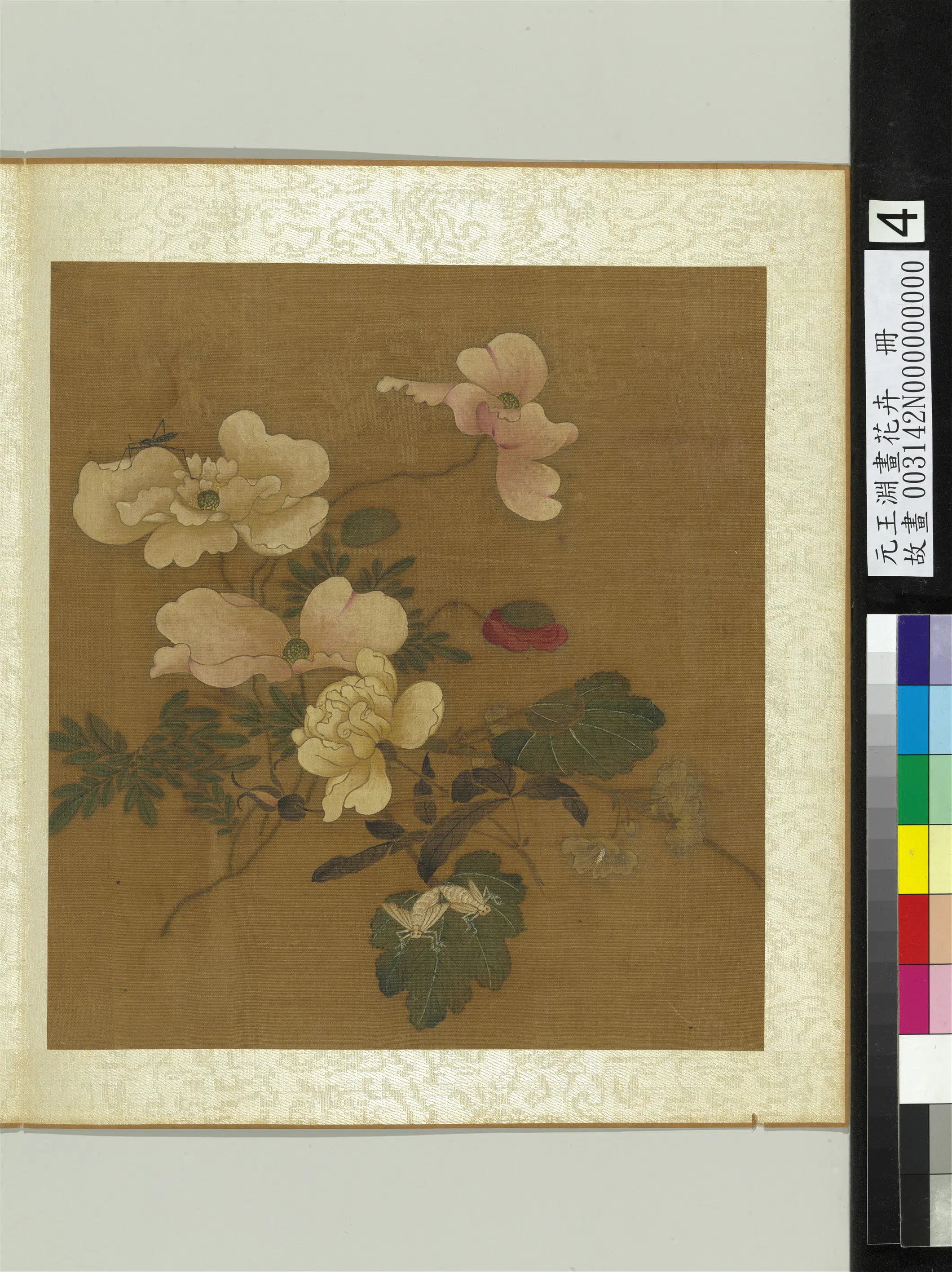 元朝【王渊】《画花卉册》 第11张 元朝【王渊】《画花卉册》 第11张