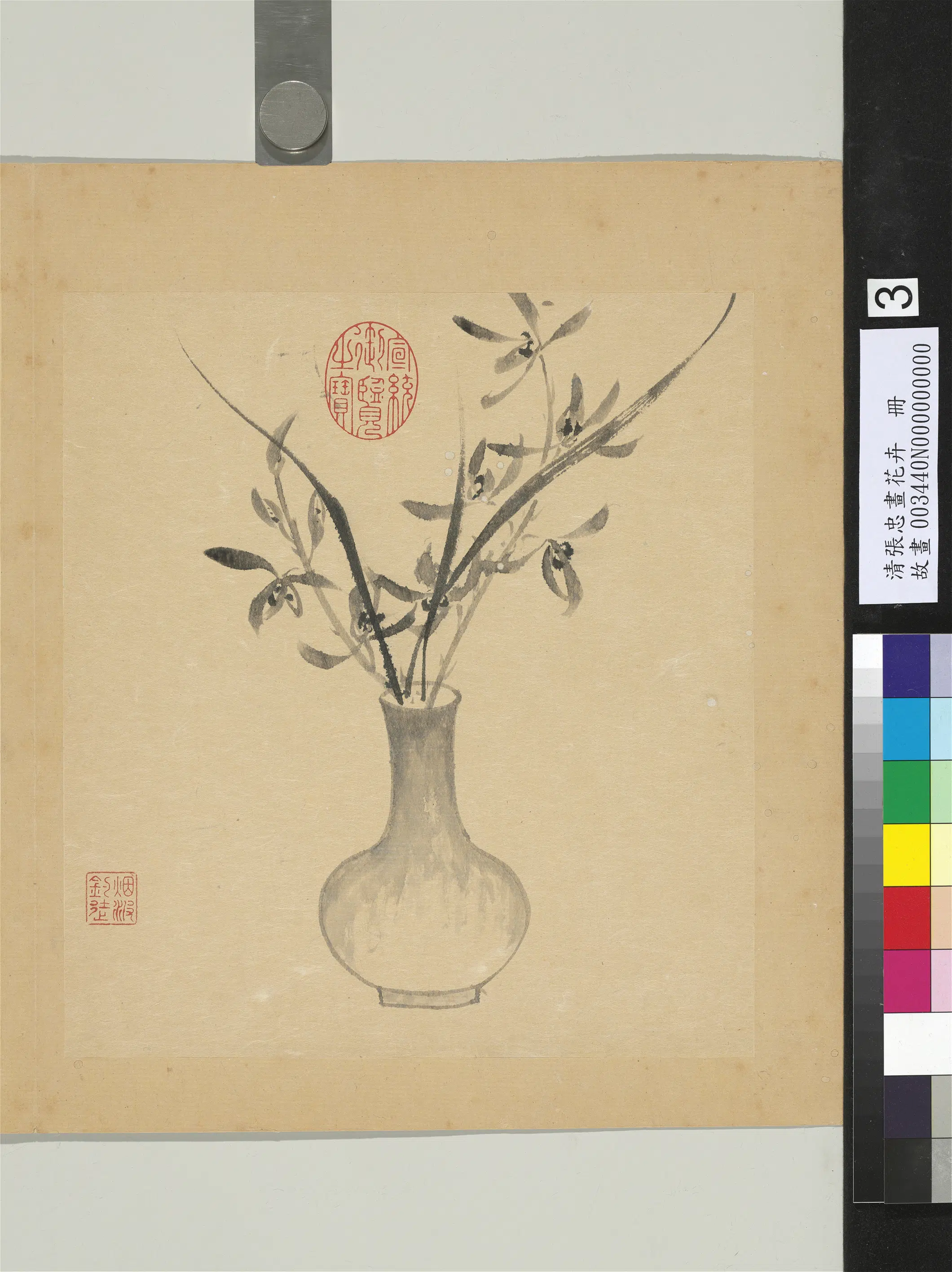 清代【张忠】《画花卉册-兰花》