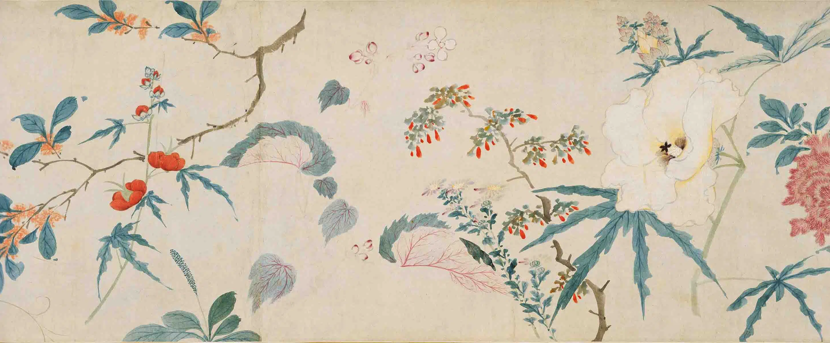 明朝【周之冕】《群芳竞秀图卷》 第15张 明朝【周之冕】《群芳竞秀图卷》 第15张