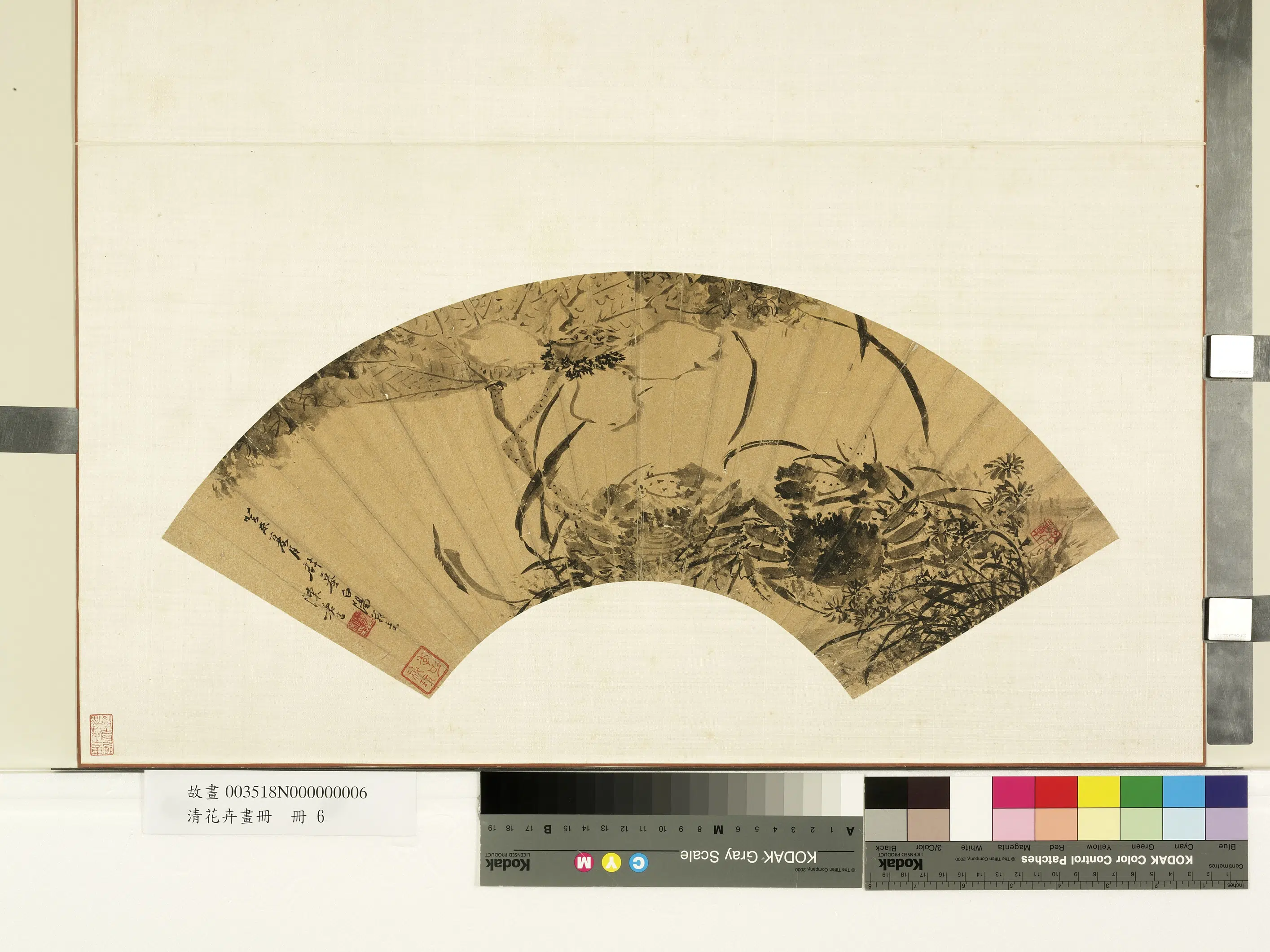 明朝【陈嘉言】《莲荷图-花卉画册》