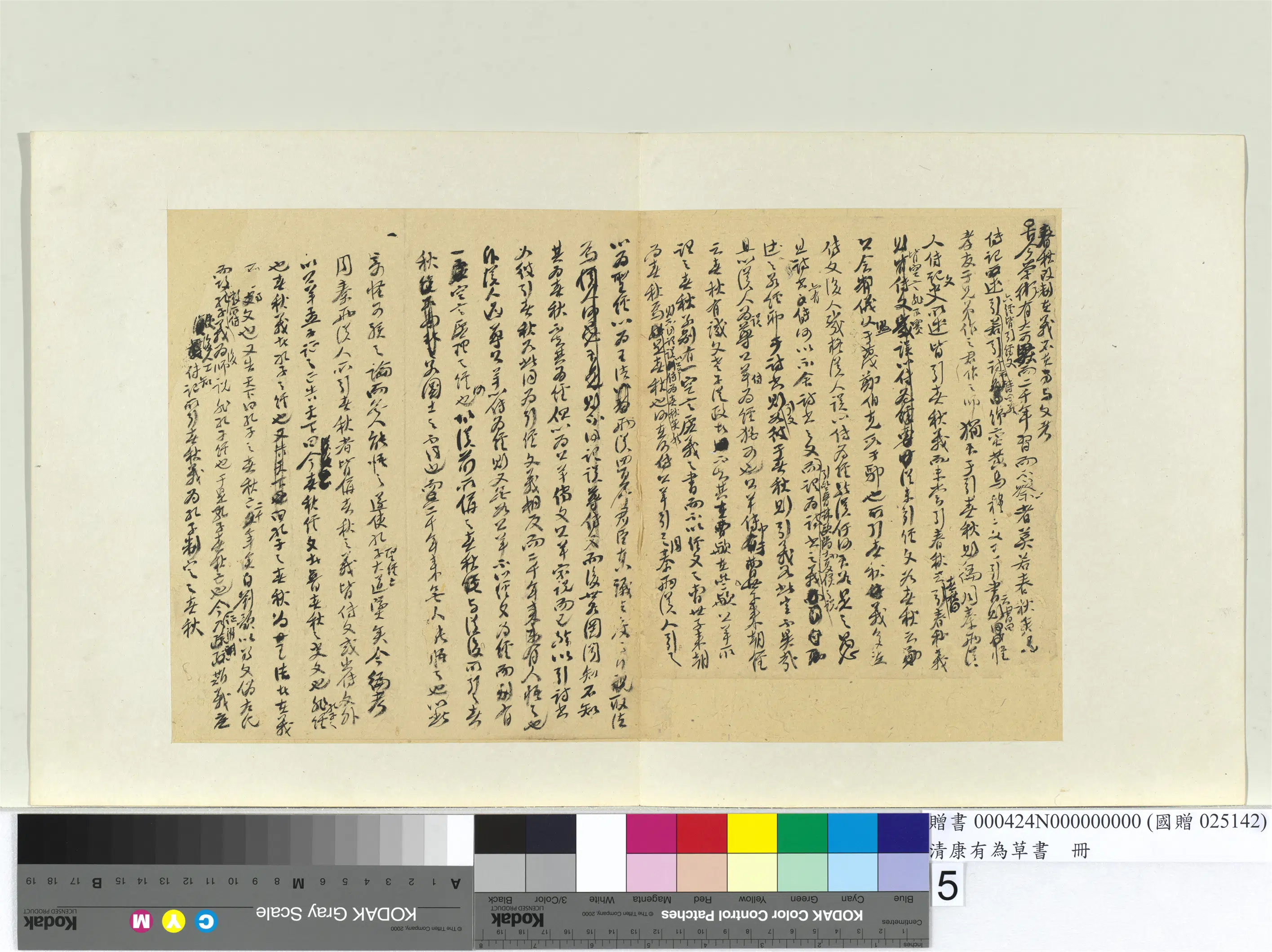 清代【康有为】《草书册》 第45张