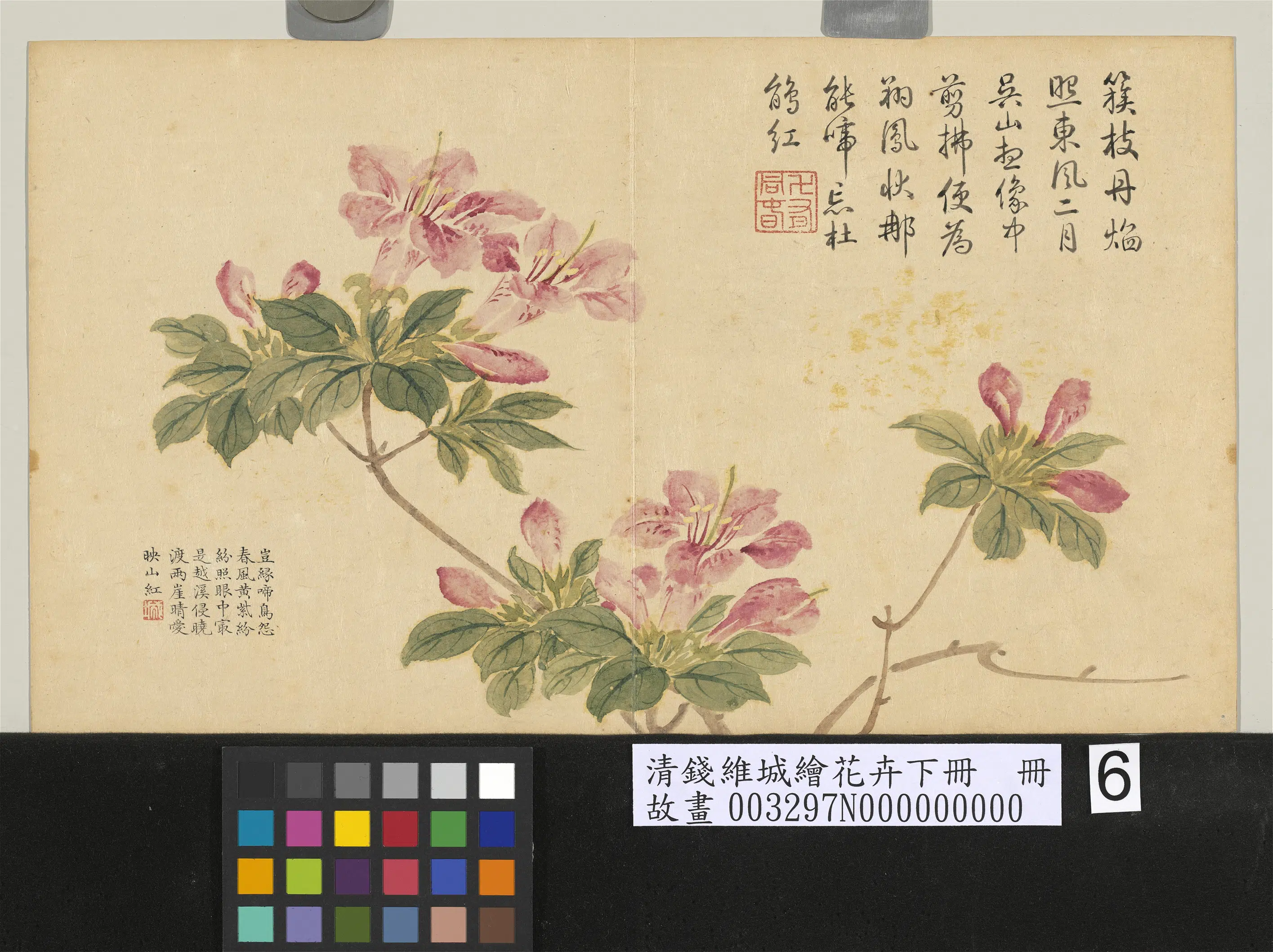 清代【钱维城】《绘花卉(下)册》 第5张 清代【钱维城】《绘花卉(下)册》 第5张