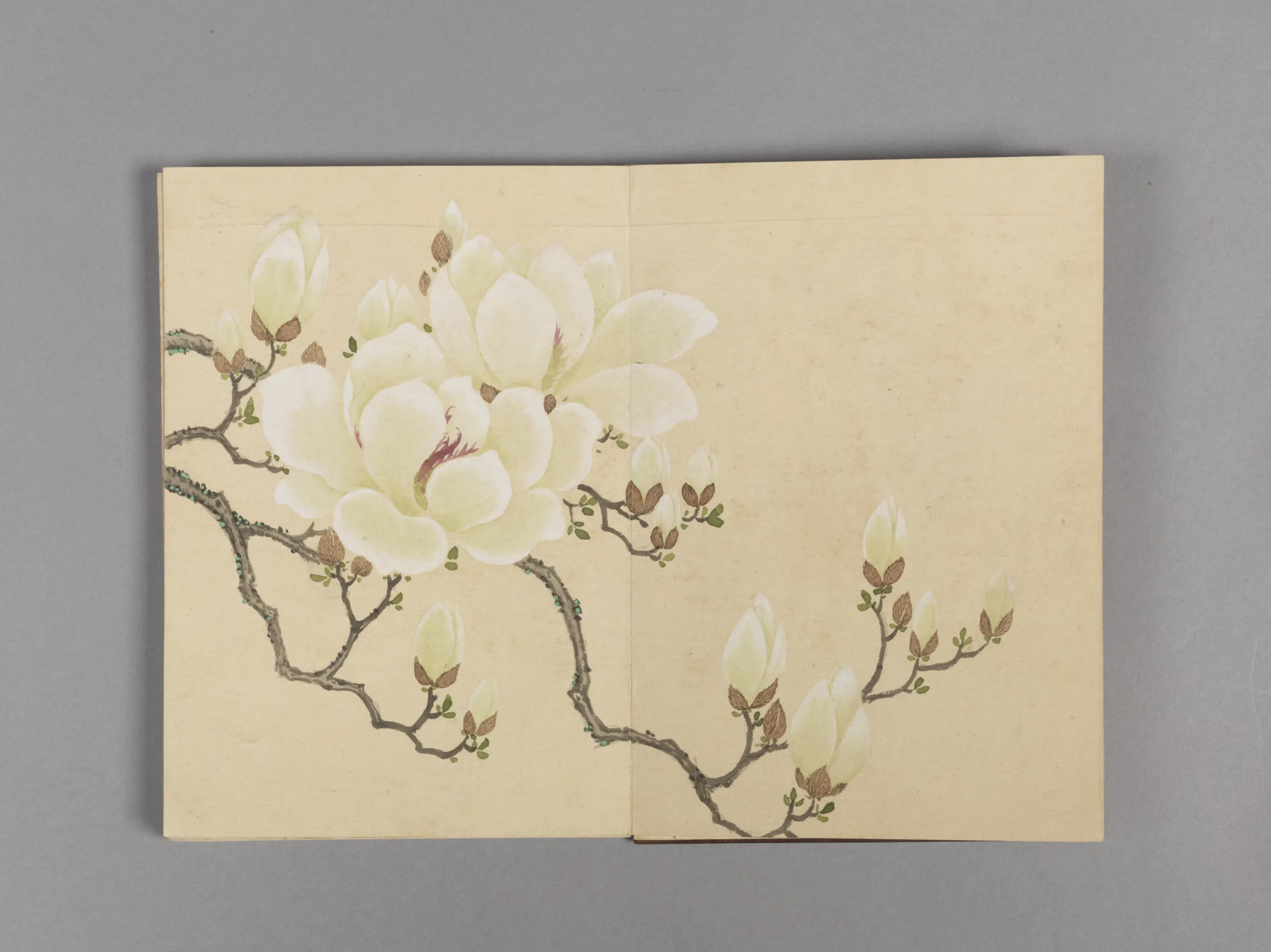 清代【董诰】《花卉小册（16开）》 第13张