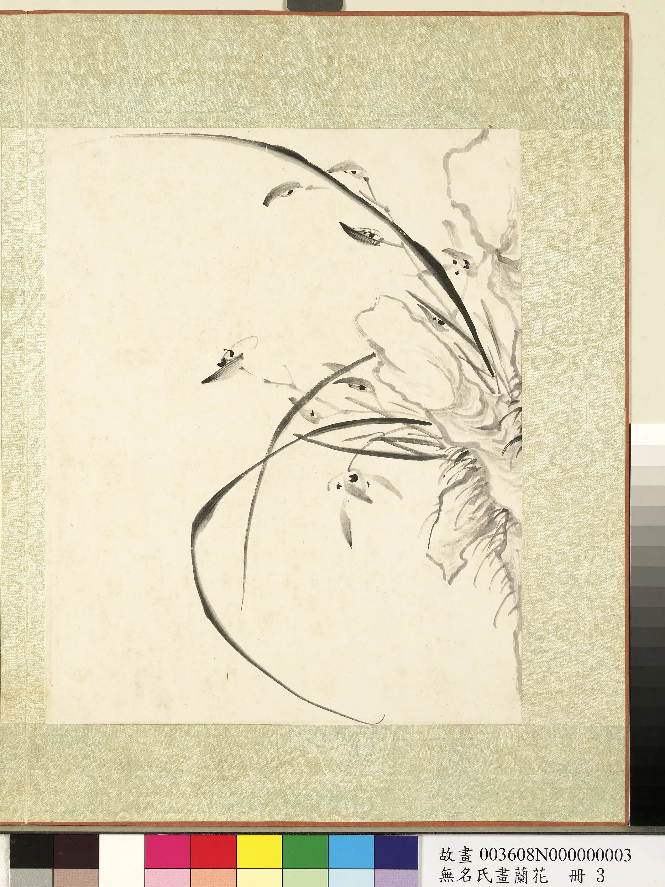《无名氏画兰花册-兰花（五）》 第1张