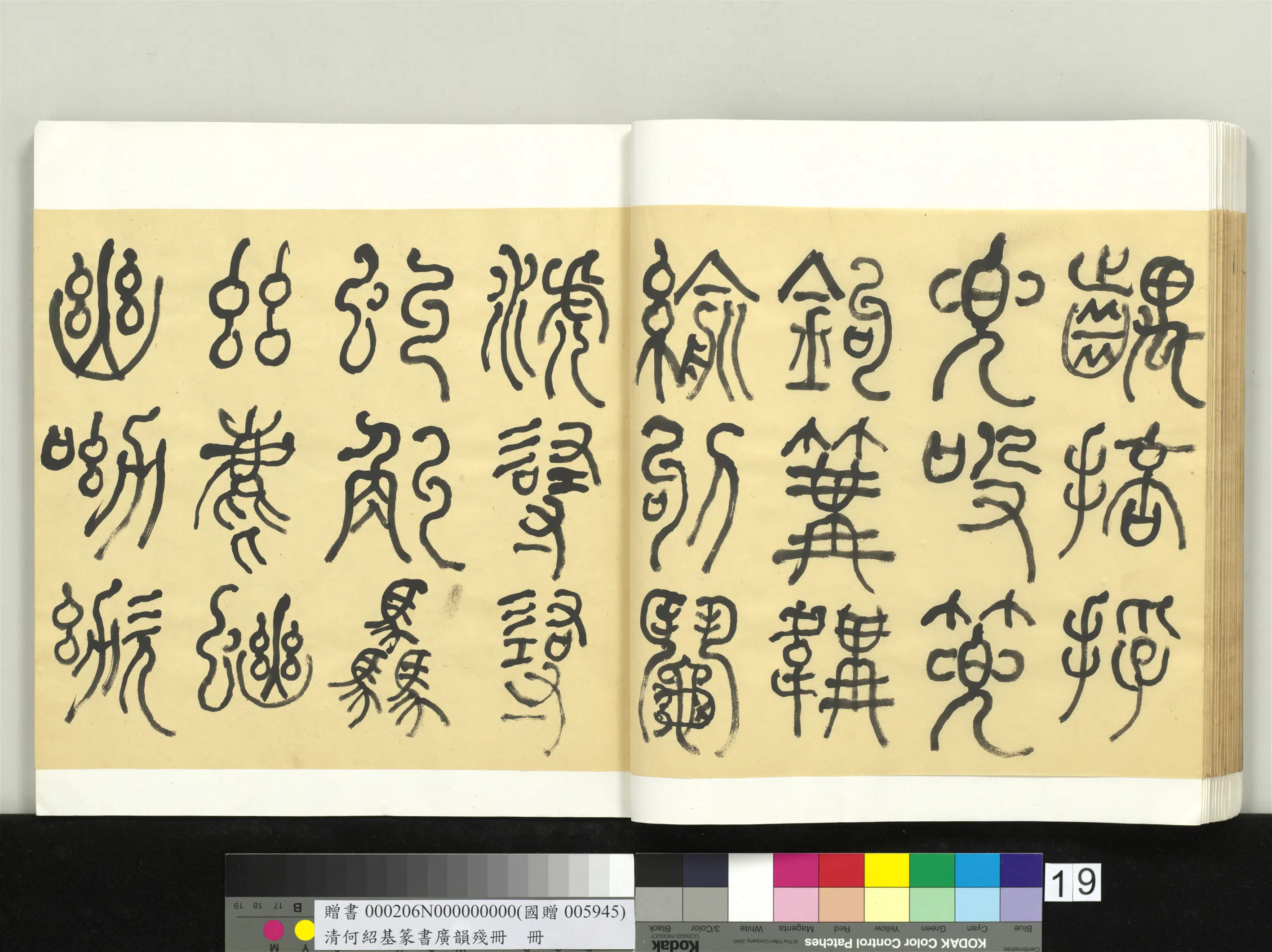 清代【何绍基】《篆书广韵册》 第19张