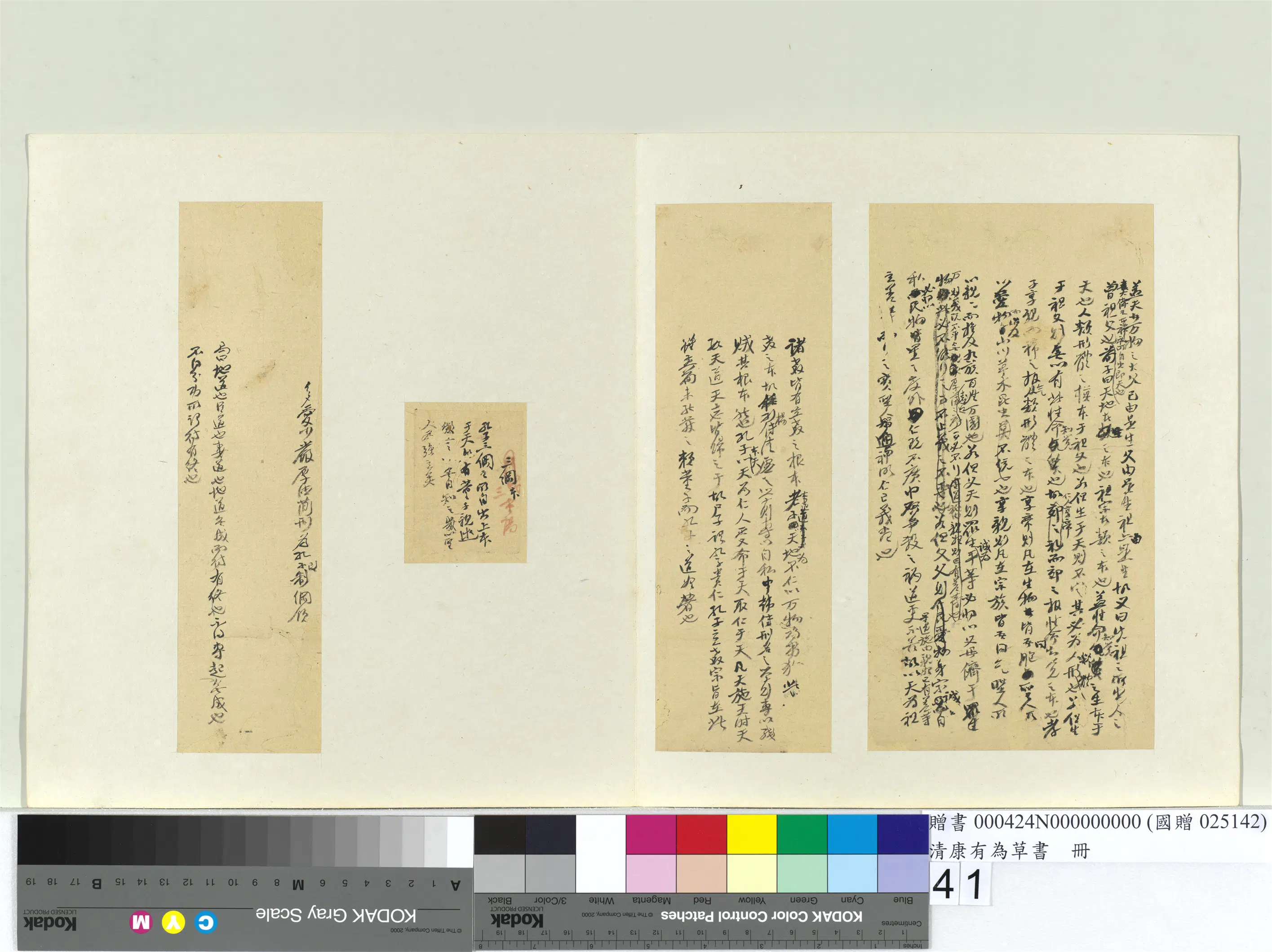 清代【康有为】《草书册》 第36张