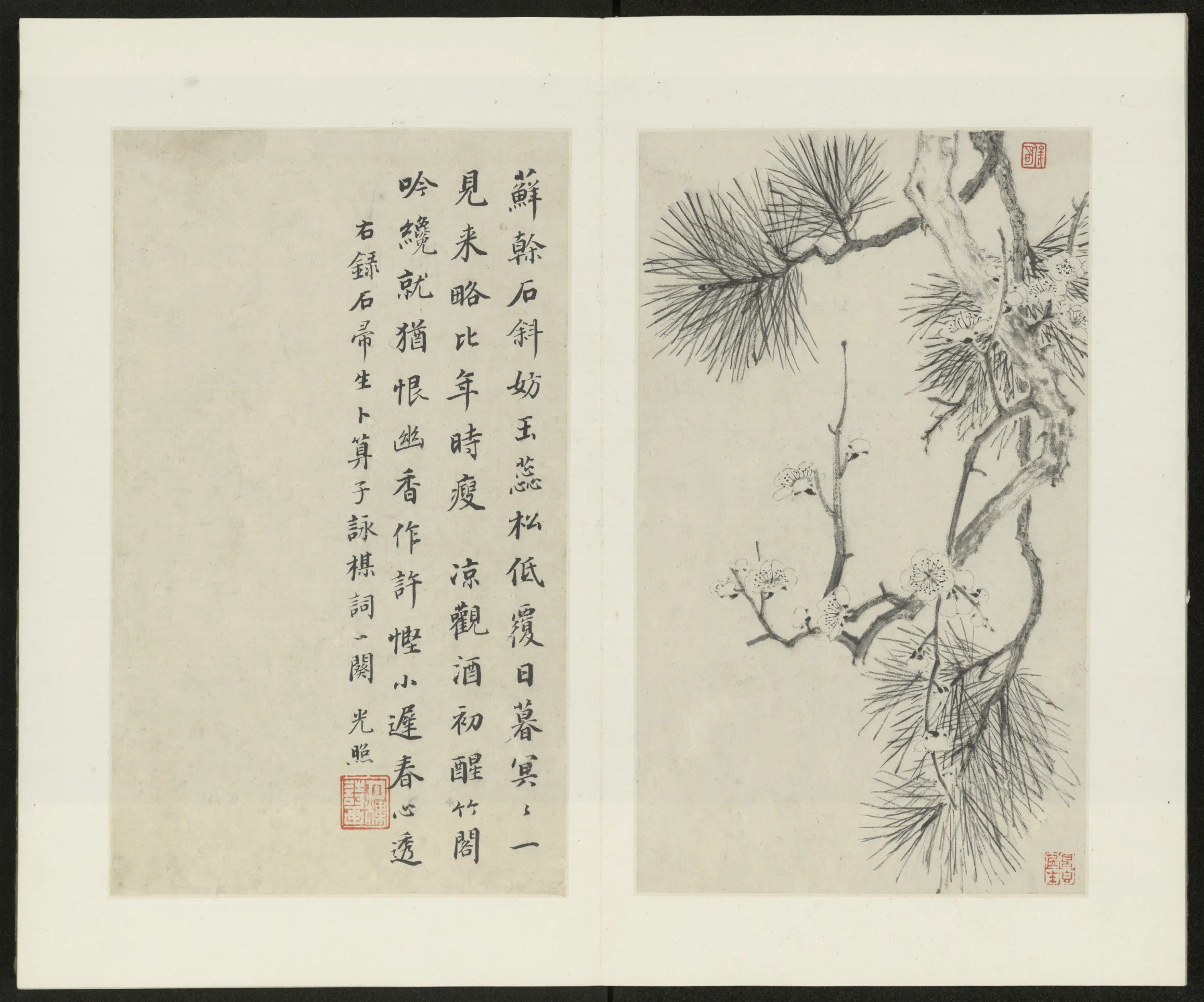 清代【金俊明】《梅花图册-1》 第5张