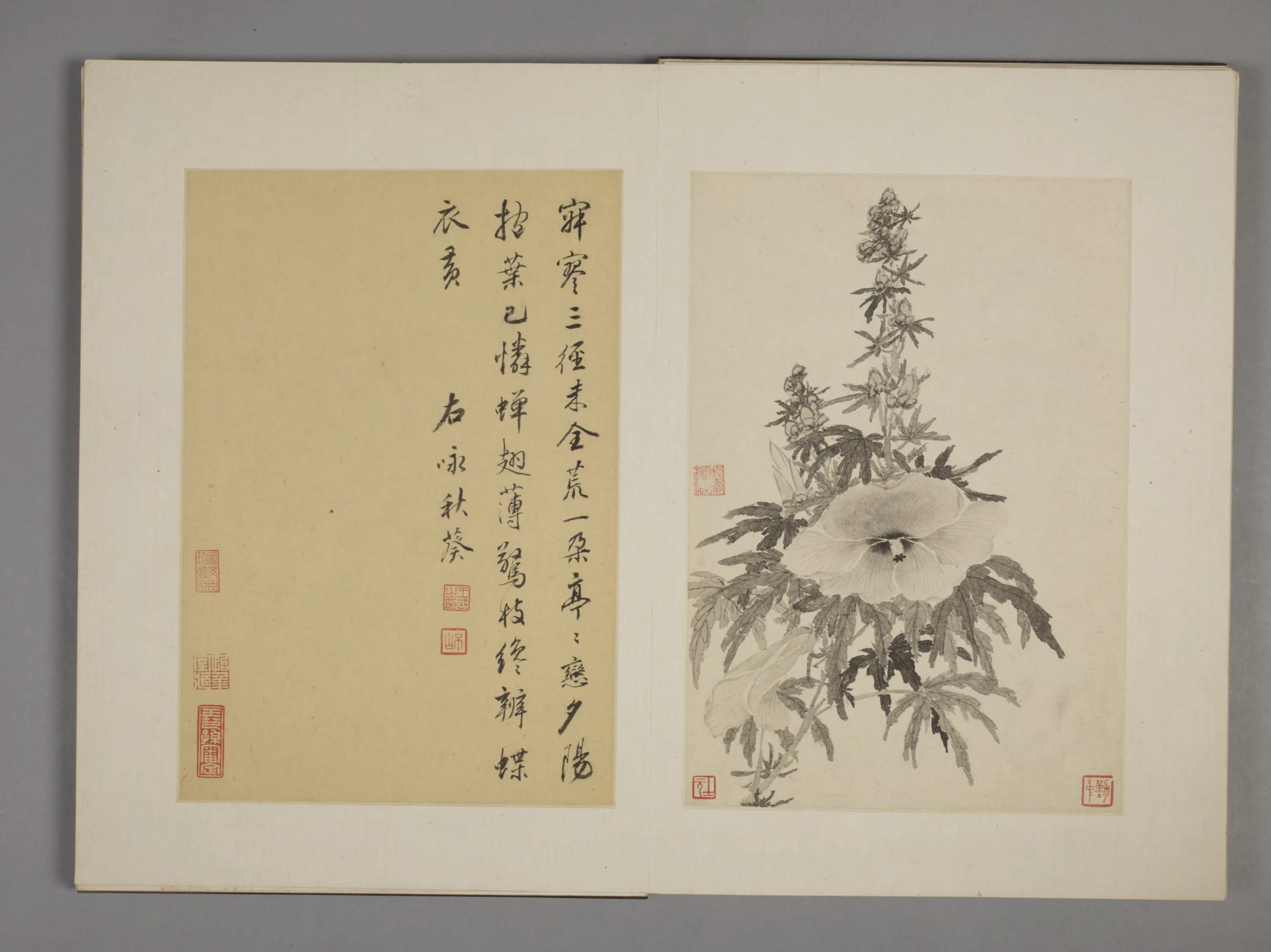 清代【王武】《花卉册九开》 第2张