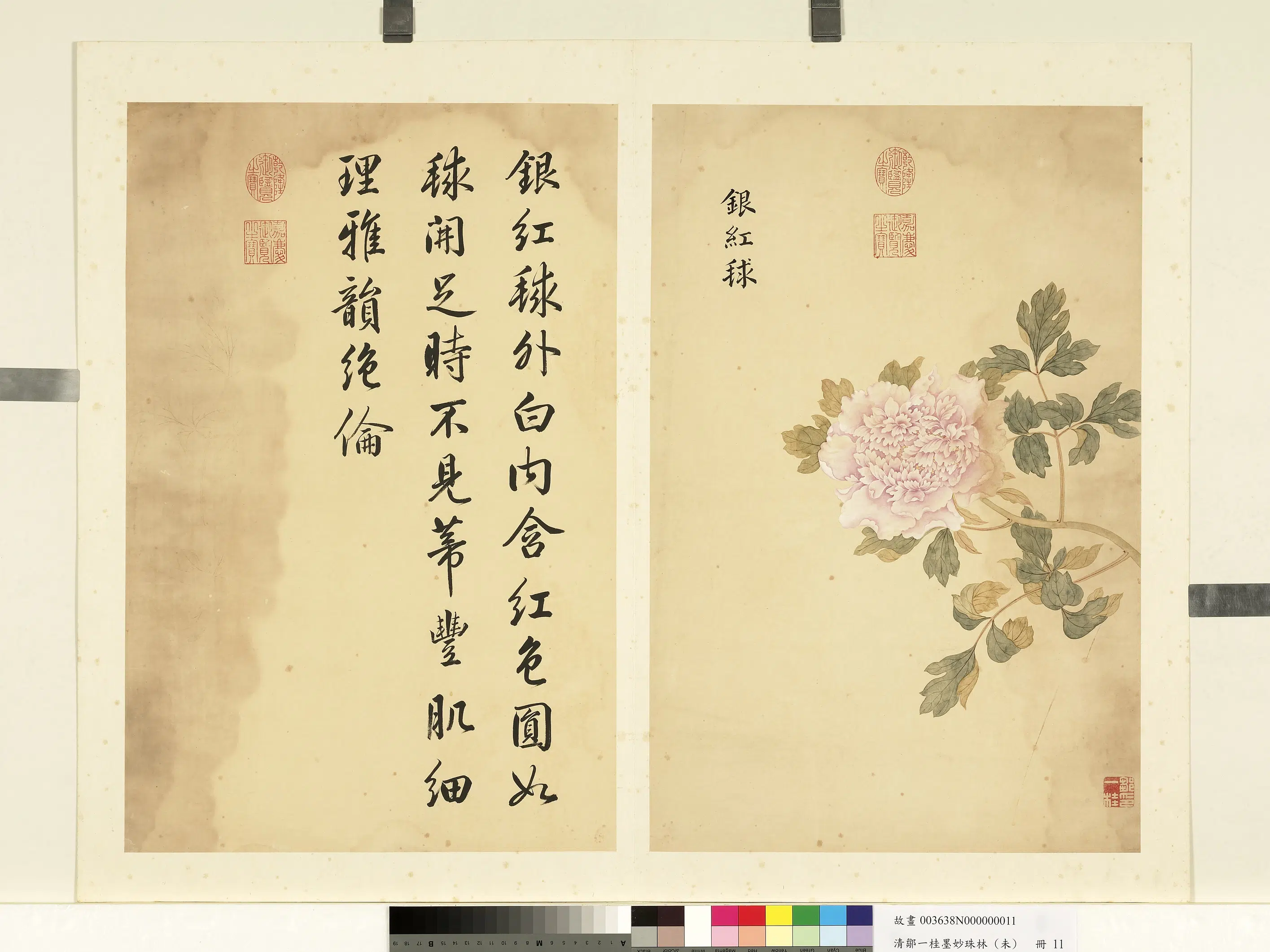 清代【邹一桂】《墨妙珠林（未）册》 第21张