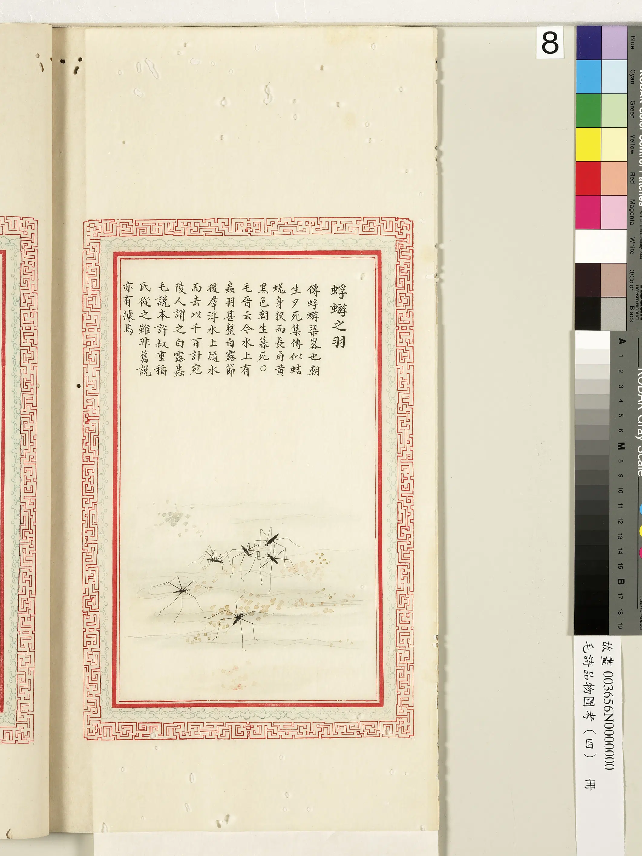 清朝【佚名】《毛诗品物图考（四）册-蜉蝣之羽-1》