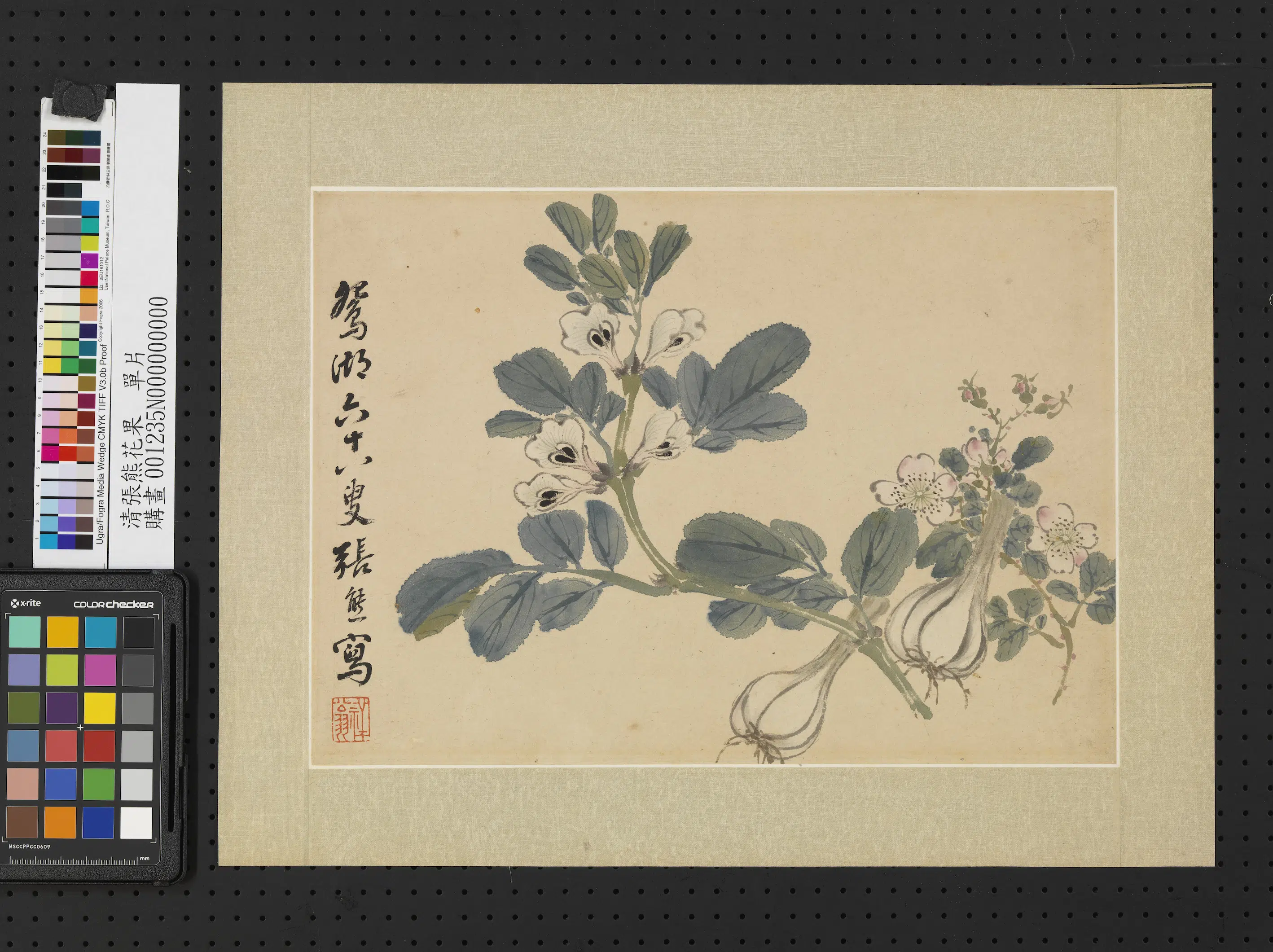清代【张熊】《花果单片》 第1张