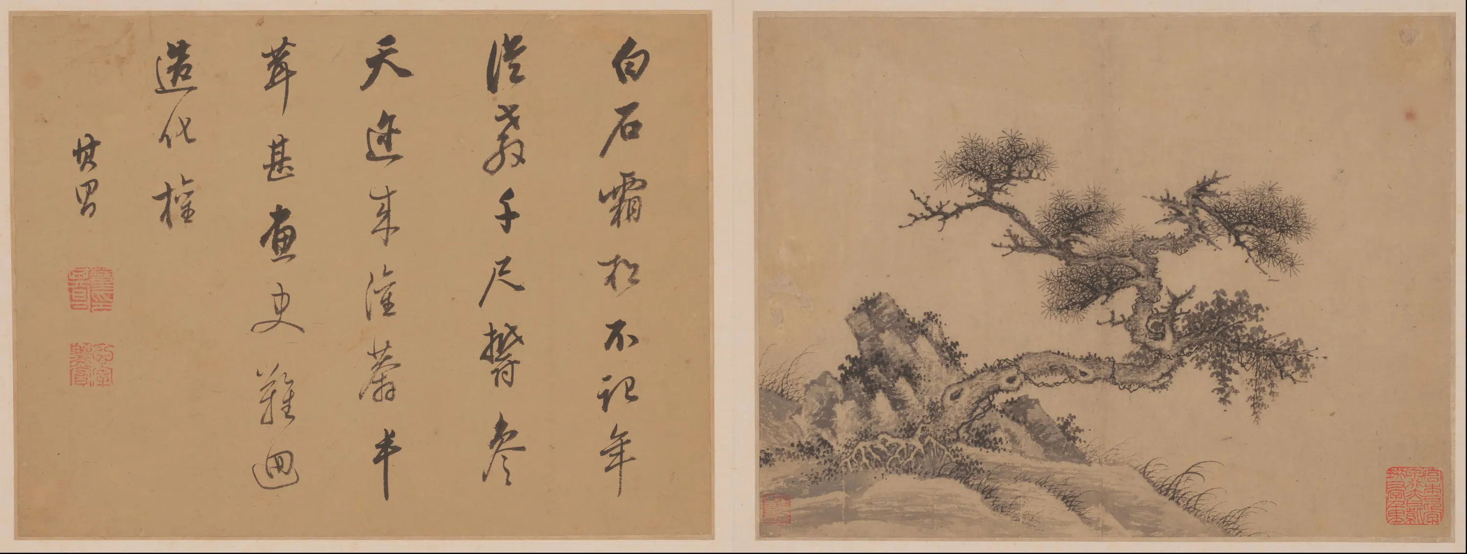 元朝【曹知白】《山水册-8开》 第2张